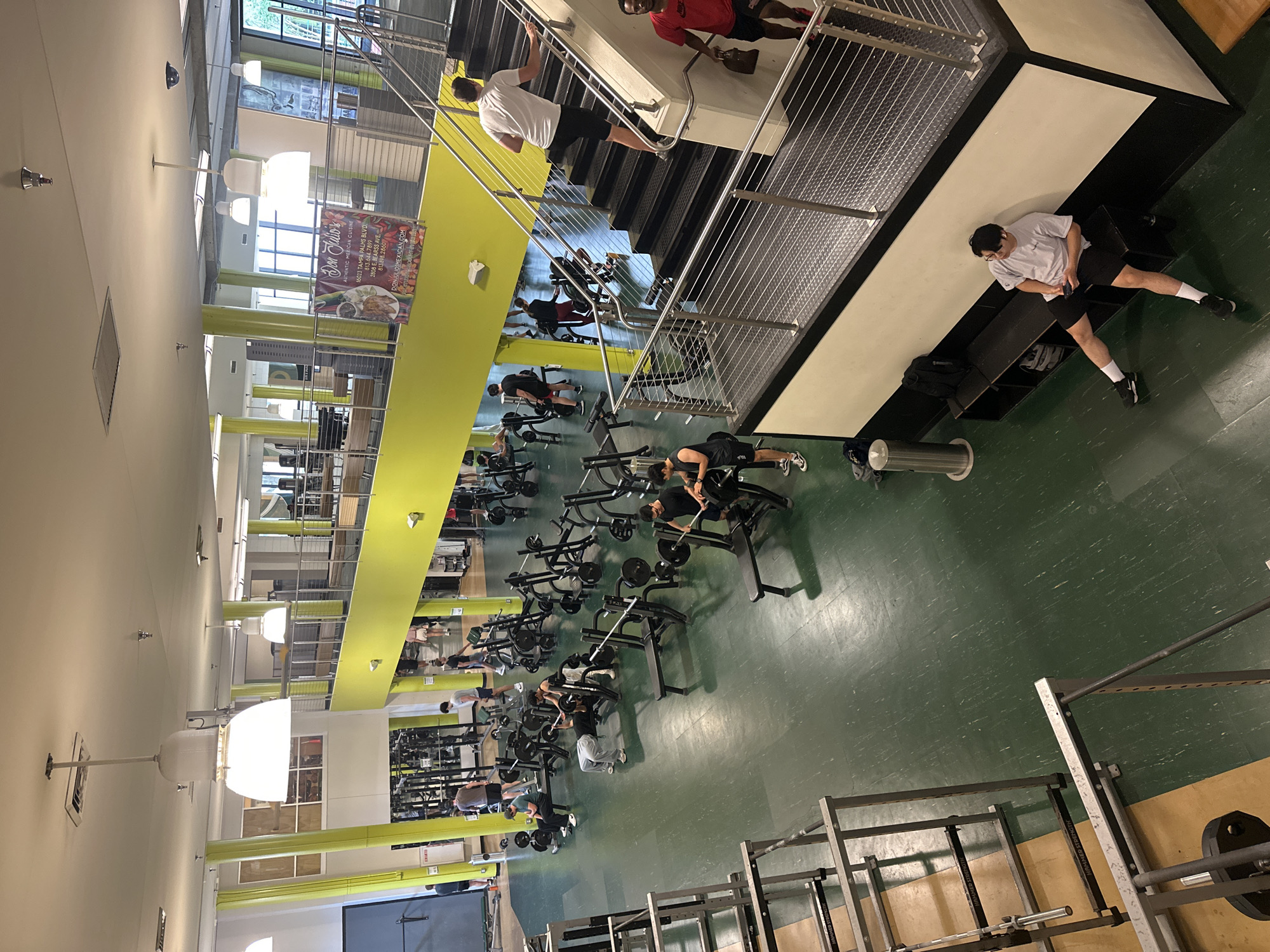 This image displays the interior of a multi-level fitness center or gym, bustling with activity. The main gym floor features a dark green, slightly reflective surface, populated with numerous individuals engaged in strength training. People are seen actively using various gym equipment, including barbells, weight racks, benches, and weight machines for exercises like bench presses and squats.
A prominent staircase with metal railings connects the main floor to an upper level, which features lighter walls and large windows, allowing natural light into the space. A striking lime green accent wall runs along the side of the stairs and extends to the upper area. Several individuals are present on the stairs or the adjacent upper platform; one person in a red shirt stands on the stairs, while another in a white t-shirt and black shorts sits resting on a bench below the stairs, looking at a phone. Overhead, large spherical pendant lights and smaller ceiling fixtures illuminate the facility.
A large banner is prominently displayed on the lime green wall, advertising "Don Julio's AUTHENTIC MEXICAN CUISINE." The banner includes two addresses: "16023 TAMPA PALMS BLVD." and "2806 E. BEARSS AVE," along with phone numbers "813.644.7899" and "813.898.2860," and the website "DONJULIOSMEXICAN.COM." The addresses are consistent with the provided location context of Tampa, United States of America. The overall scene suggests a busy gym environment during the daytime.