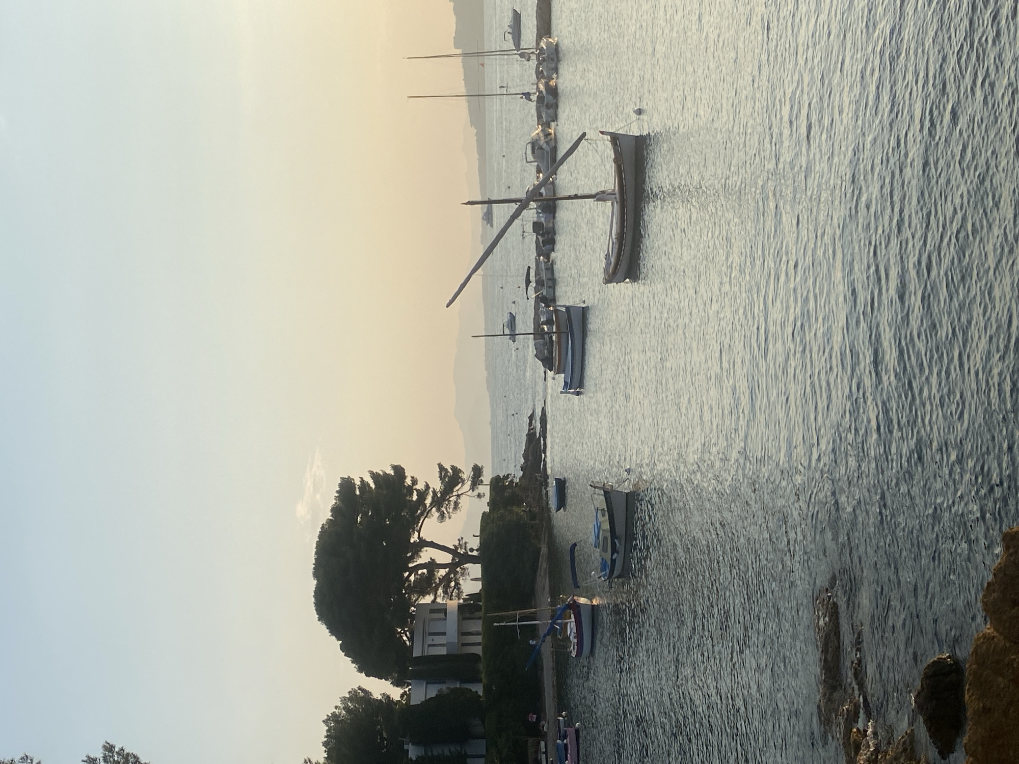 The image depicts a tranquil scene of several boats docked in the calm waters of a bay, likely in Antibes, France, during the golden hour. In the foreground, the water is a deep blue-grey with gentle ripples reflecting the soft, warm light of the setting sun. Several small, traditional-looking boats are moored, some with their sails furled. One prominent boat in the mid-ground features a single, long, angled mast.
Further back, a cluster of boats, including what appear to be smaller motorboats and sailboats, are anchored. The shoreline on the left features a lush green embankment topped with a large, dense evergreen tree and a modern, white building with multiple windows and balconies. Rocky outcrops are visible along the edge of the water in the lower left corner. In the distance, a hazy coastline with mountains can be seen against a pale, gradient sky that transitions from a soft blue at the top to a warm, peachy yellow near the horizon. The overall atmosphere is serene and picturesque, suggesting a peaceful evening in a coastal town. There are no people clearly visible in the image.