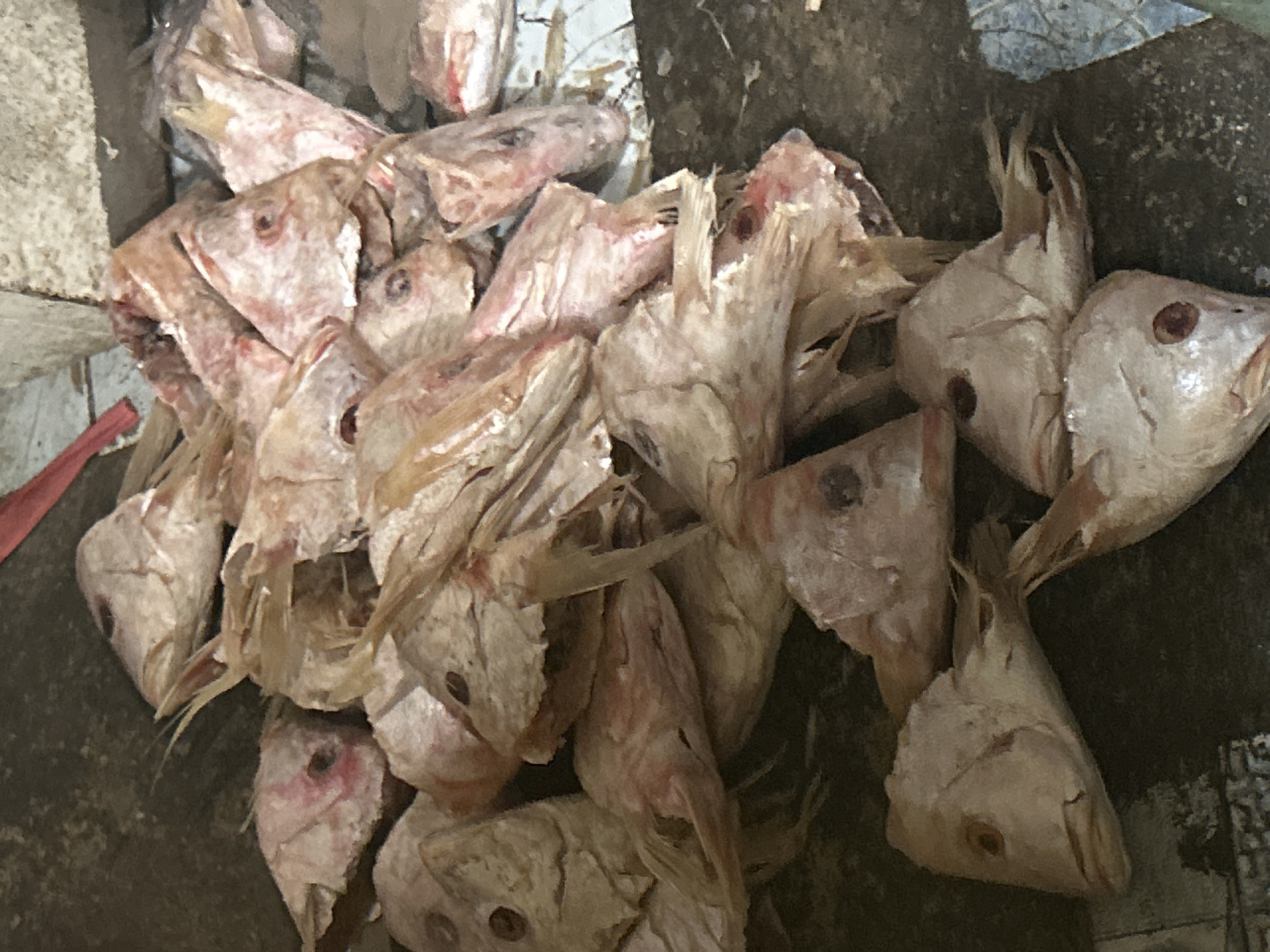 This is a close-up, overhead shot of a pile of dried fish heads in a marketplace. The fish heads are light pink and white, with visible eyes and some remaining scales and fins. They appear to be of various sizes and are jumbled together. The background is a rough, dark surface, possibly a concrete floor or stall. A small strip of red material is visible at the top edge of the frame. The image does not contain any people. Given the commonality of fish markets in the area, this scene could be from a traditional market in North Jakarta, Indonesia, such as Pasar Ikan Muara Angke or a similar location where fresh and dried seafood are sold.