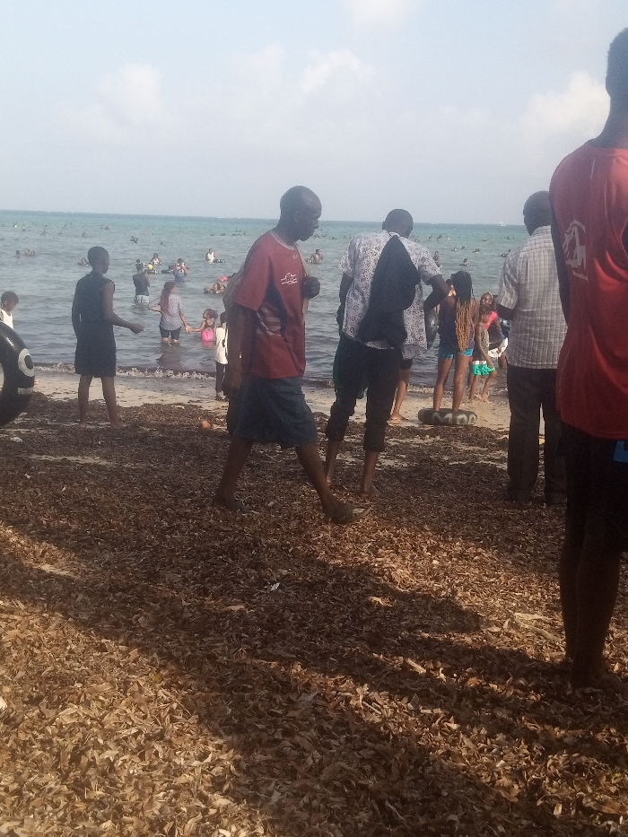 The scene depicts a crowded beach at Shanzu ward, Kenya, under a clear sky with scattered white clouds. The foreground is covered extensively with a dense layer of dry, light-brown vegetation or leaves. Shadows from individuals stretch across this debris.
In the midground, the beach transitions into shallow ocean water with small waves. Multiple individuals are present at or near the water's edge. From left to right: a person in a black dress/tunic stands in the shallow water, facing left; a person in a red t-shirt and blue shorts walks barefoot across the debris towards the water; a person in a patterned white and black shirt with a dark item draped over their shoulder stands facing the water; and a person in a light plaid shirt stands facing the water. On the far right, a partial view of a person in a red t-shirt is visible. At the water's edge, a woman with braids or dreadlocks, wearing a blue bikini top and shorts, stands facing away from the camera. Several other adults and children, including a child in pink, are wading in the shallow water. A dark, possibly rubber, object resembling a tire or buoy lies on the sand near the water.
The background shows a vast expanse of the ocean filled with numerous people swimming, wading, and congregating. The distant horizon line is visible beneath a light blue sky.