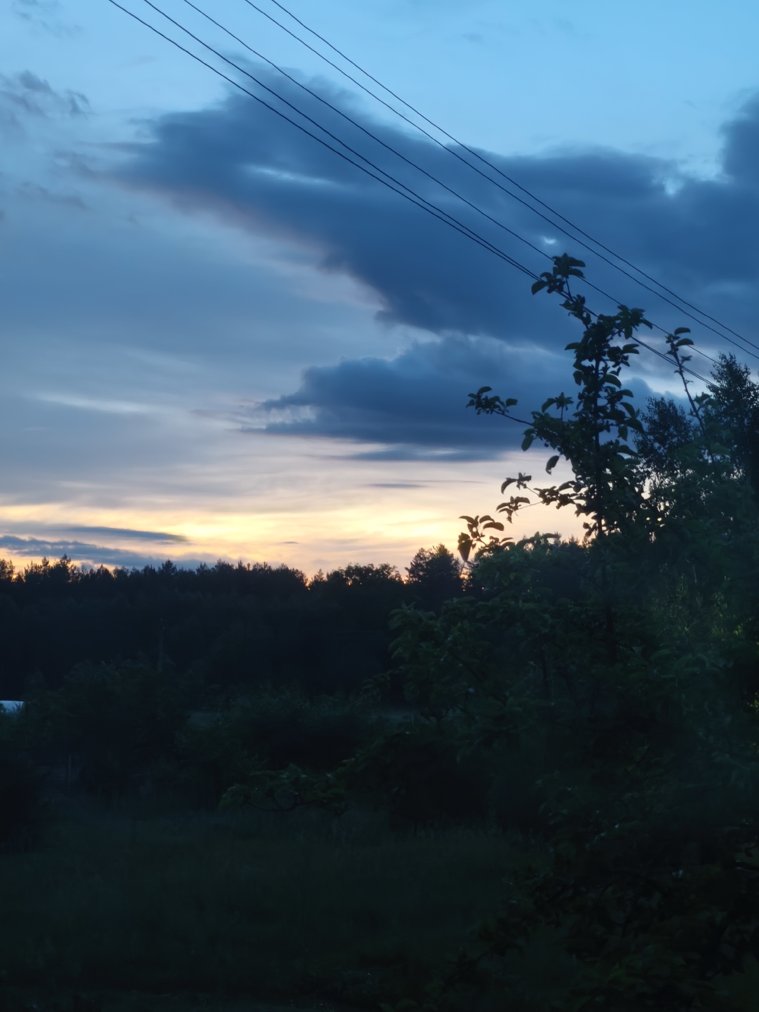 The image depicts a twilight landscape in the city of Парэчча, Belarus. The upper sky is a muted blue, transitioning to a lighter blue-grey towards the mid-horizon, with scattered, indistinct darker cloud formations. Five parallel electrical power lines span the upper portion of the frame, extending diagonally from the upper left to the upper right. A distinct horizontal band of soft orange and yellow light is visible along the horizon, indicative of a sunset or sunrise. Below this light band, a dense, dark silhouette of a treeline extends across the entire width of the image. In the midground and foreground, dense, dark green to black foliage, including trees and bushes, dominates the lower half of the frame, largely obscuring any specific details due to the low light conditions. A prominent leafy branch from a tree, with distinct dark green leaves, extends into the frame from the right side, arching towards the center and silhouetted against the lighter sky. No people, animals, or specific actions are discernible. The environment is rural or semi-rural, characterized by natural vegetation and overhead electrical infrastructure.