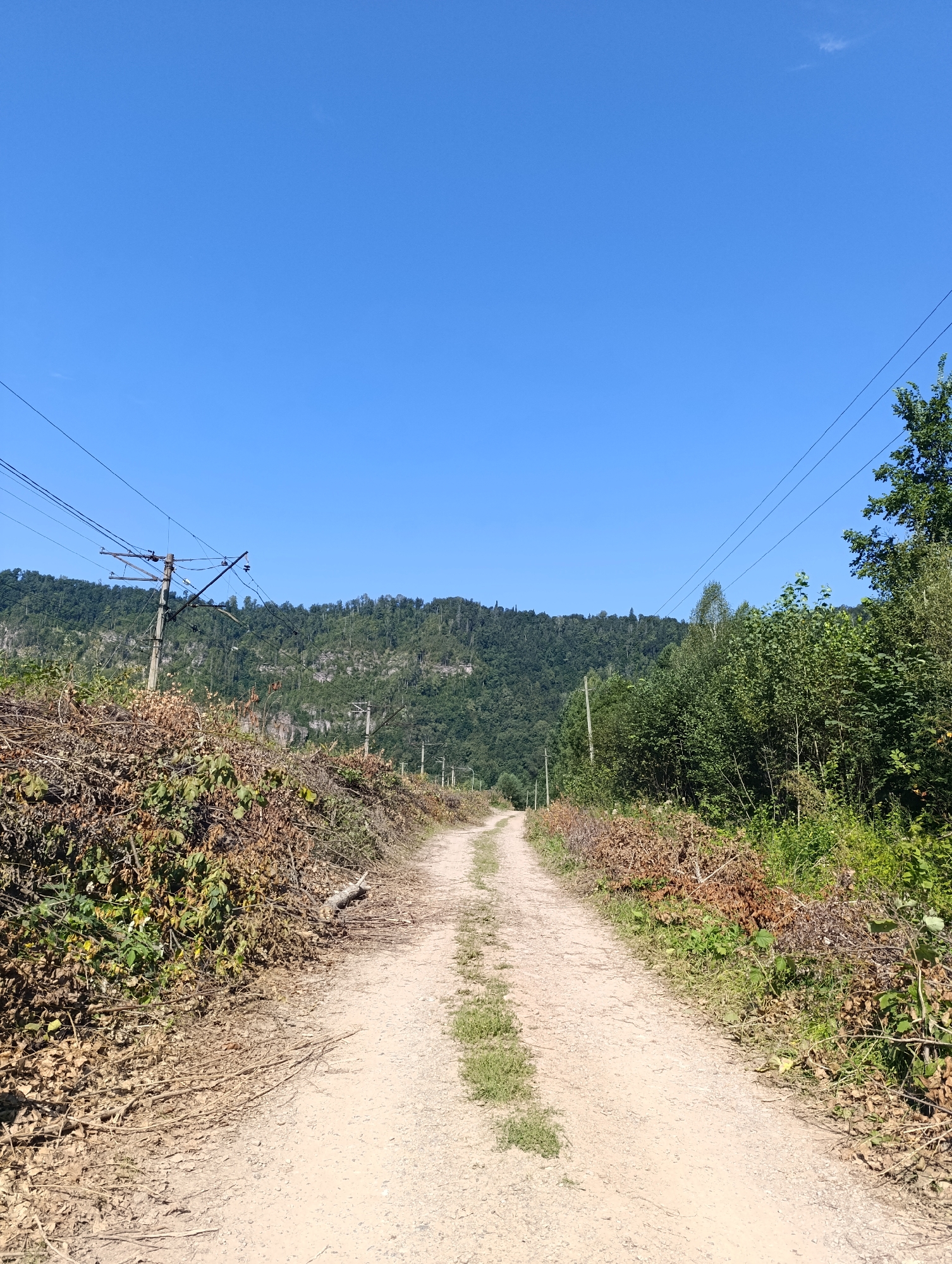 The image depicts a dirt road winding through a sparsely wooded area under a clear blue sky. On either side of the road are piles of brush and fallen branches, remnants of tree clearing or natural debris. In the background, a lush green hillside rises, covered in a dense forest. Several utility poles with overhead wires are visible along the road, suggesting the presence of electrical or communication infrastructure. The overall scene is rural and appears to be a natural landscape, possibly a path leading through a forest or along a cleared area for infrastructure maintenance. There are no people or animals visible in the image.