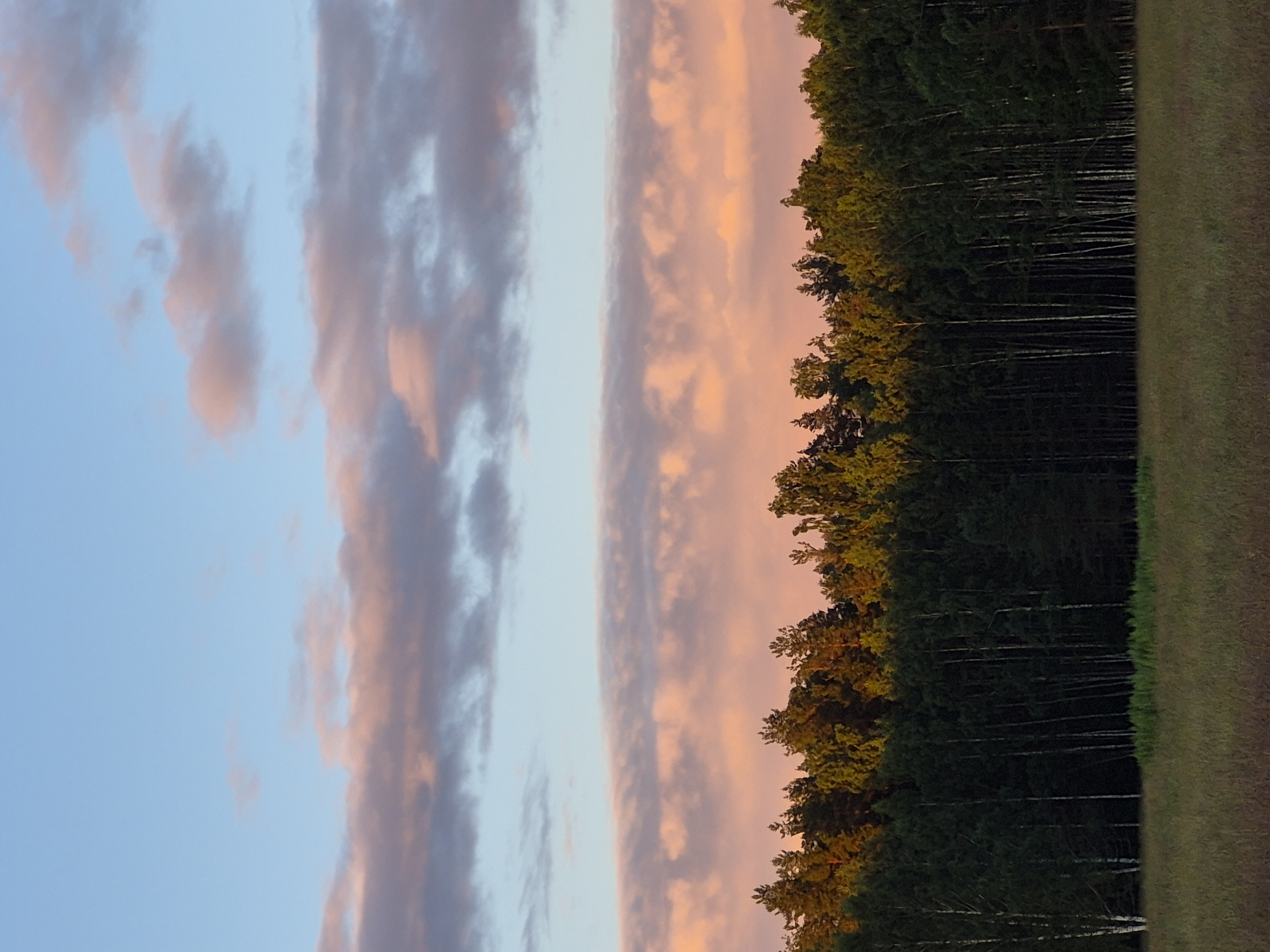 The image depicts a serene landscape scene at dusk in Sooblase, Estonia. The frame is bisected vertically, showcasing two distinct halves. The left side captures the sky with wispy clouds, illuminated by the warm hues of sunset, transitioning from soft pinks and oranges to a gentle blue. The right side features a dense forest of evergreen trees, with birch trees interspersed, their white trunks stark against the darker foliage. The treeline is illuminated by the last rays of sunlight, creating a dramatic contrast. To the far right, a gently sloping grassy field, covered in dry grass, signifies the edge of the forest. The overall mood is tranquil and atmospheric, characteristic of an evening in a rural setting. There is no visible text in the image.