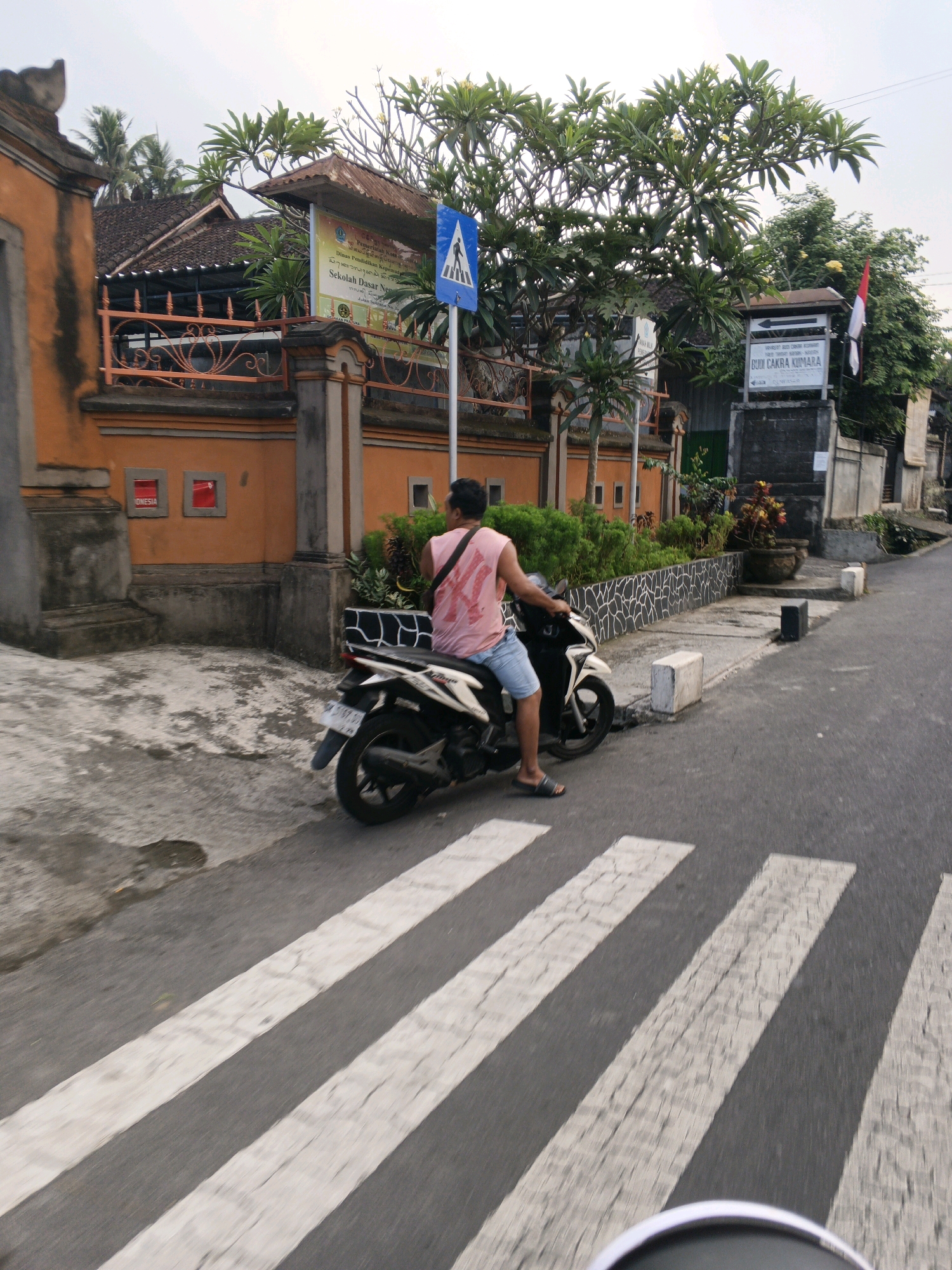 The image depicts a street scene in Denpasar, Indonesia. In the foreground, a man wearing a pink sleeveless shirt and blue shorts is riding a white and black scooter. He is facing away from the camera and appears to be on a paved road with a pedestrian crossing marked by white stripes. The scooter has a license plate visible.
In the background, there is an orange building with traditional Balinese architectural elements, including decorative pillars and patterned railings. A sign with Indonesian text, possibly indicating a school or government institution, is visible on the building's facade, along with a blue pedestrian crossing sign. Lush green trees and vegetation are abundant throughout the scene. To the right of the road, there are more buildings and a glimpse of an Indonesian flag. The sky is overcast. The overall impression is that of a typical urban street in Bali.