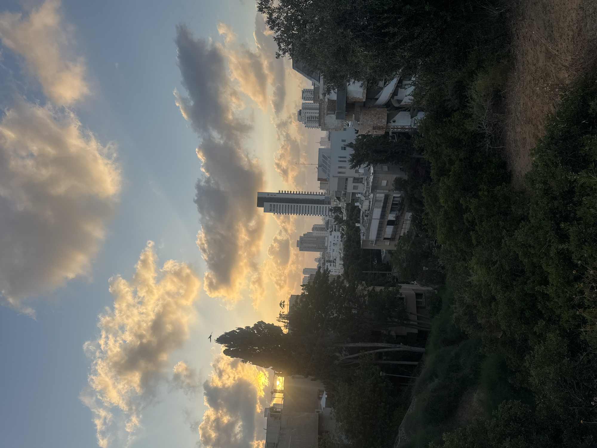 The image depicts a cityscape at dusk in Ramat Gan, Israel, with a particular focus on the sky and urban landscape. The sky is filled with scattered clouds, some illuminated by the setting sun with a warm, golden hue, while others are in shadow, creating a dramatic contrast. Rays of light emanate from behind a large cloud on the left, where the sun is partially obscured.

Dominating the midground are several trees, with a tall, slender tree in the center silhouetted against the bright sky. Perched at the very top of this tree is a small, dark bird in flight. Beyond the trees, the city of Ramat Gan is visible, characterized by a mix of residential buildings and a few taller structures, including a distinctive modern skyscraper with a dark facade on the left. The architecture suggests a dense urban environment. The foreground is covered in dense green foliage and shrubbery, with a patch of sandy ground visible. The overall atmosphere is one of a peaceful evening in an urban setting.