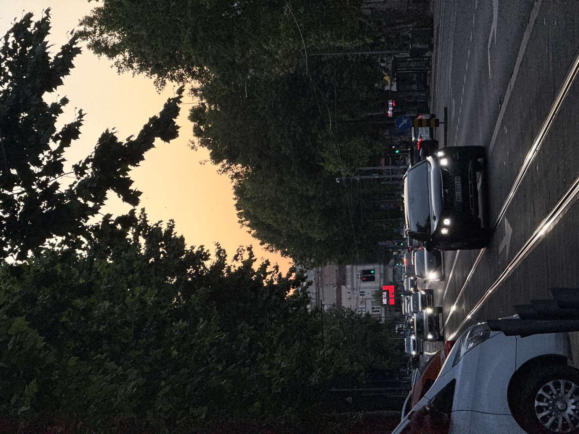 This is a medium shot, exterior, eye-level, vertical, natural light photograph of a street scene in Belgrade, Serbia, during twilight. The foreground shows tram tracks on a wet asphalt road, with the front of a white van on the left and a black Peugeot 3008 SUV on the right. The SUV's headlights are illuminated, and its license plate reads "BG 3071 AA". Several other vehicles are visible in the background, moving along the road. The middle ground features a street lined with mature trees on both sides, their dark green foliage creating a canopy over the road. A red digital billboard displays "VEČITA" (Eternal) in large white letters, and a traffic light shows green. Beyond the trees, a light-colored building with arched windows is visible. The sky transitions from a soft orange-yellow near the horizon to a darker hue at the top, with the silhouettes of tree branches and leaves visible against the fading light. The overall mood is calm and urban, with the approaching nightfall lending a slightly subdued atmosphere to the scene.