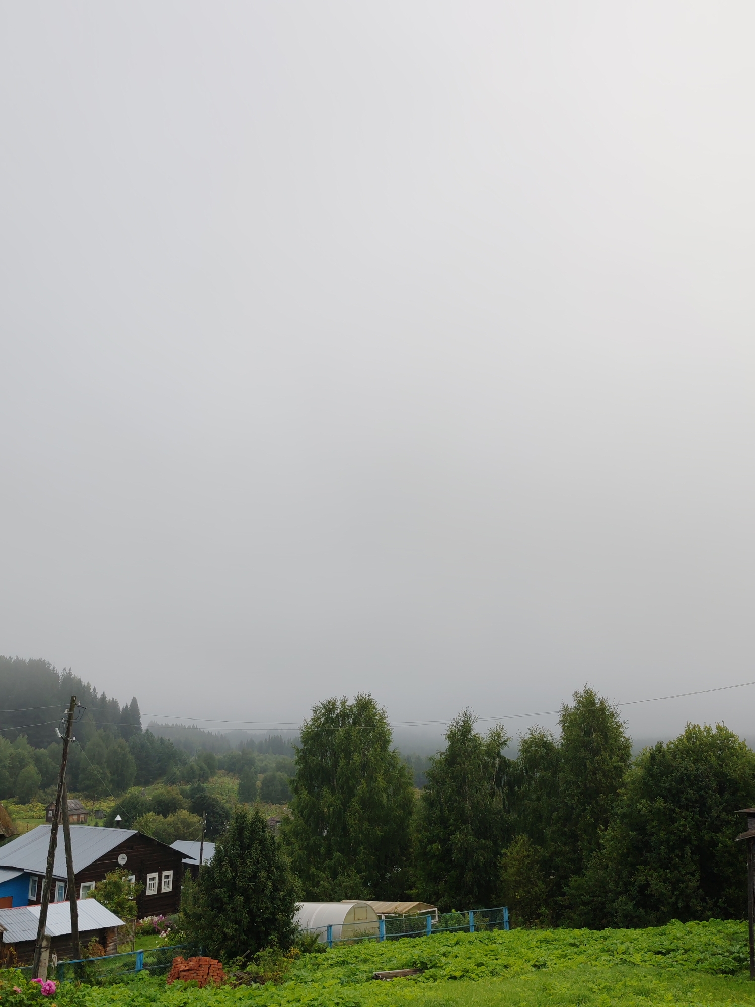 This is a medium-shot, eye-level, outdoor photograph taken in Чухлэм, Russia. The image captures a hazy, overcast day with a low-lying cloud cover that obscures the distant hills and forest. In the foreground, a green, leafy field extends across the bottom half of the frame. A blue fence runs horizontally behind the field, separating it from a cluster of buildings and trees.
To the left of the frame, a dark wooden house with white-trimmed windows is visible. Adjacent to it is a smaller, lighter-colored structure with a metal roof. A utility pole with wires stands prominently to the left of these buildings, with a single electric lamp attached. A red plastic watering can rests on the ground near the fence.
Further into the scene, a greenhouse with a white, translucent cover is situated behind the blue fence, surrounded by greenery. A stack of red bricks is piled near the greenhouse. The middle ground is occupied by a dense line of various green trees, some appearing quite tall and full. The background is dominated by a mist-shrouded, tree-covered hillside that fades into the overcast sky. No people or animals are visible in the image.