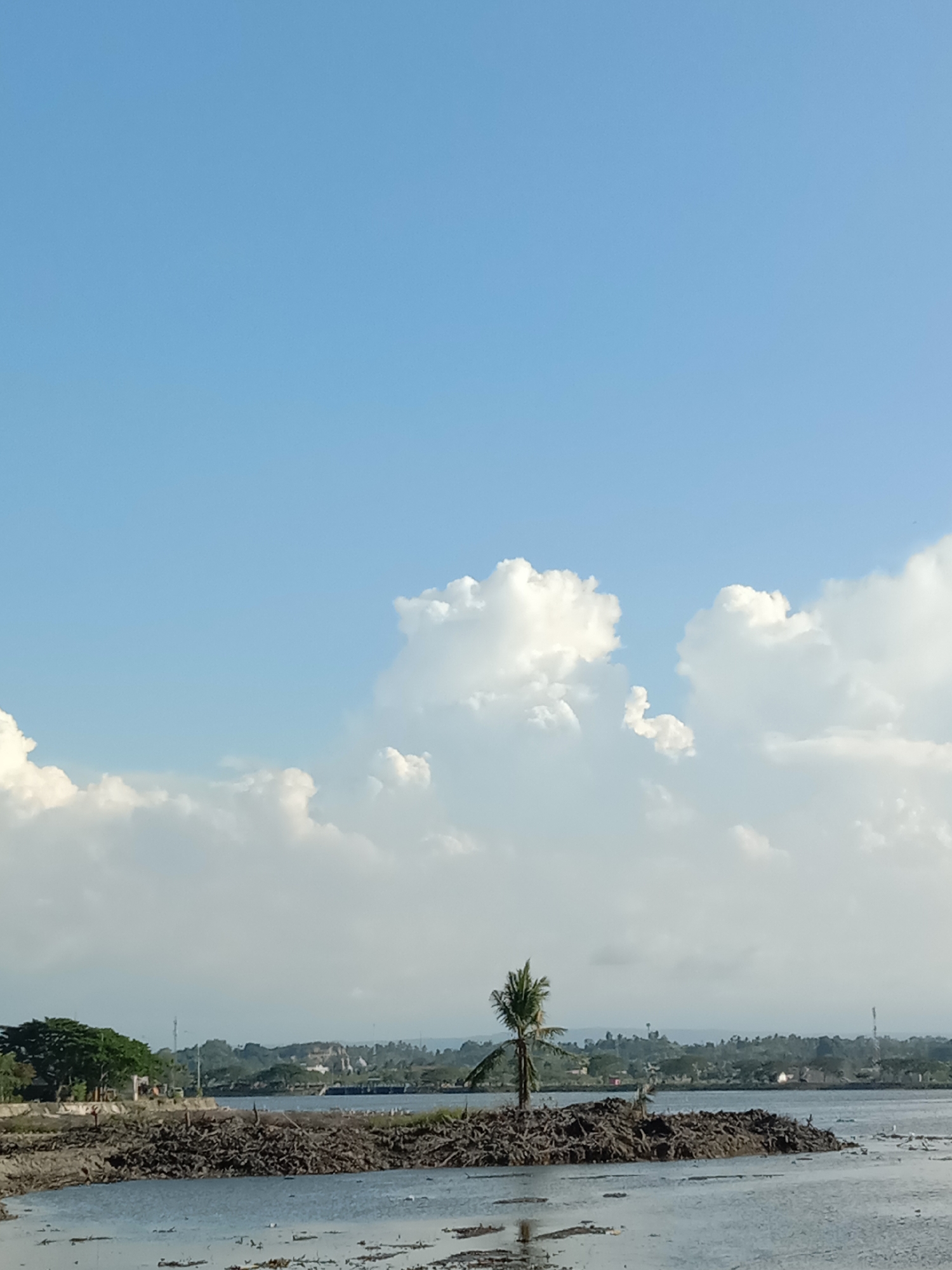 This is a wide, eye-level, vertical shot of a body of water in Lhokseumawe, Indonesia, with a clear blue sky with white clouds above. In the foreground is dark, debris-filled water with a few small white objects, possibly birds, on the surface. A small, densely vegetated island made of dark, tangled debris rises from the water in the mid-ground. A single, thin palm tree stands in the center of this island. Behind the island, across a wider body of water, is the Lhokseumawe coastline. The distant background shows a treeline, buildings, and hills, with a telecommunications tower visible on the right side. The overall scene is a natural landscape with signs of human activity in the distance.