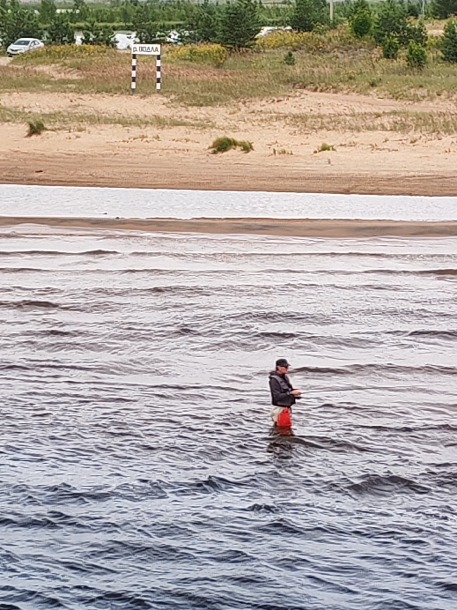 The image captures a scene on the shore of a body of water, likely a river or lake, in Shalsky, Russia. In the foreground, a person is standing in the water, engaged in fishing. The individual is wearing a dark jacket, light-colored pants, and a life vest. They are holding a fishing rod. A red bucket or container is visible around their waist or hips. The water has small waves. In the mid-ground, a sandy beach extends towards a vegetated area with trees and grass. A white sign with black markings, possibly a directional marker or informational board, stands on the beach. Several cars are parked on a dirt road or path in the background, near the treeline. The overall setting suggests a rural or semi-rural environment.