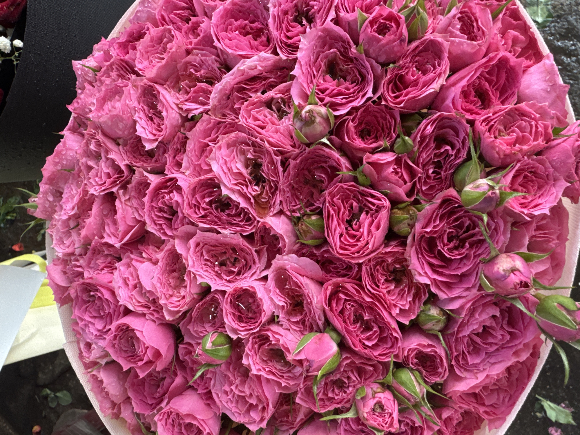 A close-up, top-down shot showcases a large bouquet of vibrant pink roses. The roses, tightly packed and in various stages of bloom, fill the frame. Many of the petals are delicate and ruffled, with some showing signs of dew or water droplets. The bouquet is arranged in a white, circular container, the rim of which is visible at the bottom of the image. In the background, hints of greenery and other floral arrangements, possibly wrapped in black paper, are discernible, suggesting a flower market or shop setting. The lighting appears to be natural, highlighting the rich texture and color of the roses. The scene is likely located in the city of Nha Trang, Vietnam, a popular tourist destination known for its beaches and vibrant markets where such flower arrangements are commonly found. No people are visible in the frame, and the focus is entirely on the beauty and abundance of the roses.