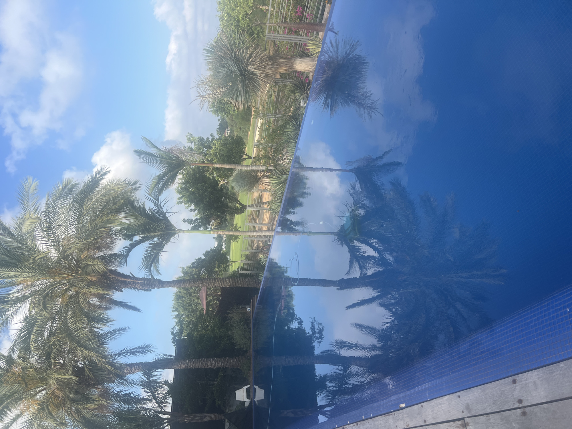 The image captures an outdoor scene in the city of Hof HaCarmel Regional Council, Israel, dominated by an infinity pool reflecting palm trees and a blue sky with scattered clouds. The pool's surface is a vibrant blue, with visible mosaic tiling along its edge. To the left of the pool, a wooden deck is partially visible.
In the background, several palm trees of varying heights are present, along with lush green vegetation and other tropical plants. Beyond the greenery, a glimpse of a golf course can be seen, indicated by manicured fairways and distant white structures. A metal fence borders some of the property.
There are no people visible in the image. The scene suggests a serene, resort-like environment. The lighting indicates it is daytime, with bright sunlight casting reflections on the water. The overall atmosphere is tranquil and summery.