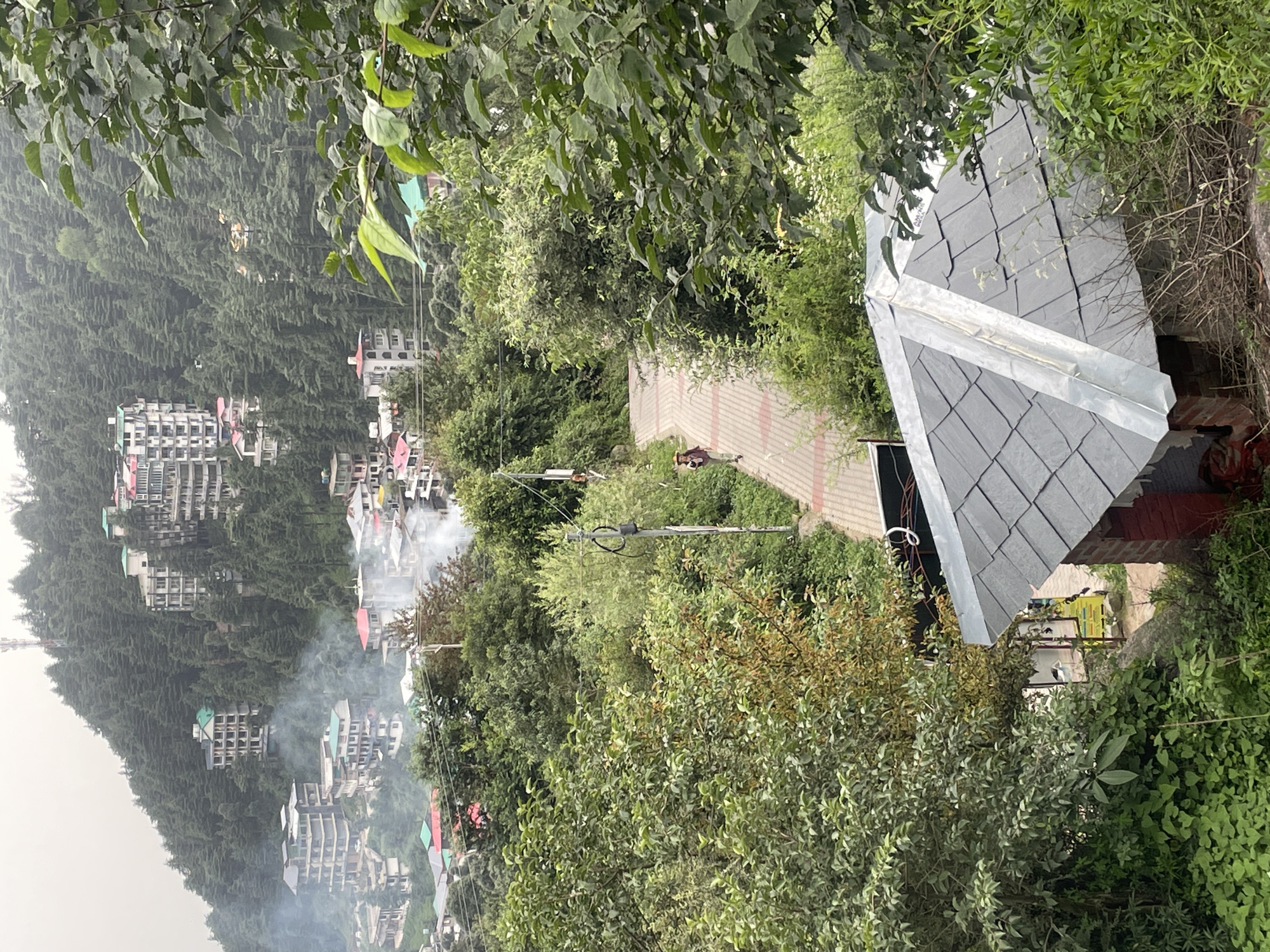 The image shows a mountainous landscape with buildings nestled amongst trees, possibly in a town or city like Dharamshala, Himachal Pradesh, India, a region known for its hilly terrain and numerous buildings constructed on slopes. The scene is partially obscured by lush green foliage, with several multi-story buildings visible on the hillside. Smoke or mist is rising from some of the buildings, suggesting either fires or atmospheric conditions. A paved pathway winds through the trees, with a person walking on it. In the foreground, a small building with a slate roof is visible, partially covered by vegetation. The overall impression is of a densely populated area within a natural, mountainous environment.