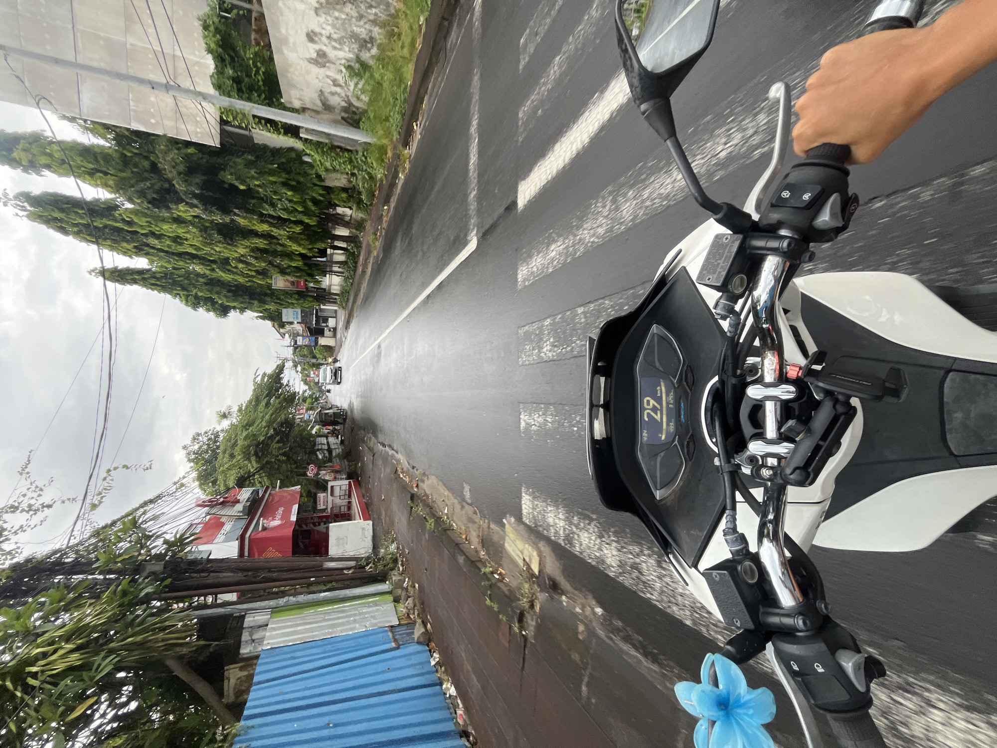 The image presents a first-person perspective from someone riding a white and black scooter on a wet asphalt road in Kuta Selatan, Indonesia. The rider's right hand firmly grips the throttle on the handlebar. The scooter's digital dashboard is clearly visible, displaying a speed of "29 km/h," an odometer reading of "3125 km," and a fuel efficiency of "49.0 km/l." A phone mount is attached to the handlebars, and a light blue, floral-shaped ornament hangs near the left grip. A rearview mirror is also visible.
The road ahead is damp, suggesting recent rainfall, with a white central line and sections of a crosswalk marked on the surface. To the left side of the road (from the rider's perspective), a row of tall, slender trees lines the street, behind which are buildings and utility poles with numerous overhead power lines. Further down, a red-fronted building, possibly a "Telkomsel" outlet, and a "LAUNDRY SERVICE" sign are discernible. A blue corrugated metal fence or wall is also visible on the immediate left. The sky is overcast, and the general setting is an urban or semi-urban street with other vehicles visible in the distance.