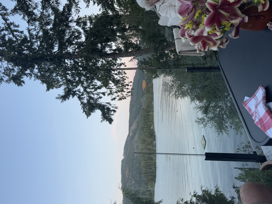 The image depicts an outdoor scene at twilight overlooking Shawnigan Lake in Area B, Canada. The perspective is from an elevated deck or patio, featuring a glass railing with dark vertical supports in the foreground. Shawnigan Lake occupies the mid-ground, exhibiting calm, rippled water. A square floating dock is visible towards the left side of the lake, accompanied by two red buoys further out. A small boat is discernible in the distant center of the lake. Beyond the water, densely forested hills rise, under a sky gradient from light blue overhead to faint pink at the horizon.
In the immediate foreground, a dark, circular outdoor table is present. On the table, a red and white checkered napkin is crumpled towards the lower left. To the right of the napkin, a brown vase holds a floral arrangement consisting primarily of reddish-purple lilies and smaller yellow flowers. A potted plant with green foliage, in a terracotta-colored pot, is positioned on the table's far left edge. Faint, illuminated string lights are reflected in the glass railing.
Two individuals are partially visible. On the far left, the lower leg of a person is visible. On the far right, the head and upper shoulder of an elderly individual with white hair, wearing a light-colored garment, are visible. A beige or tan colored fabric is draped over an unseen object or chair near this person. The scene suggests a relaxed, observational setting at dusk.