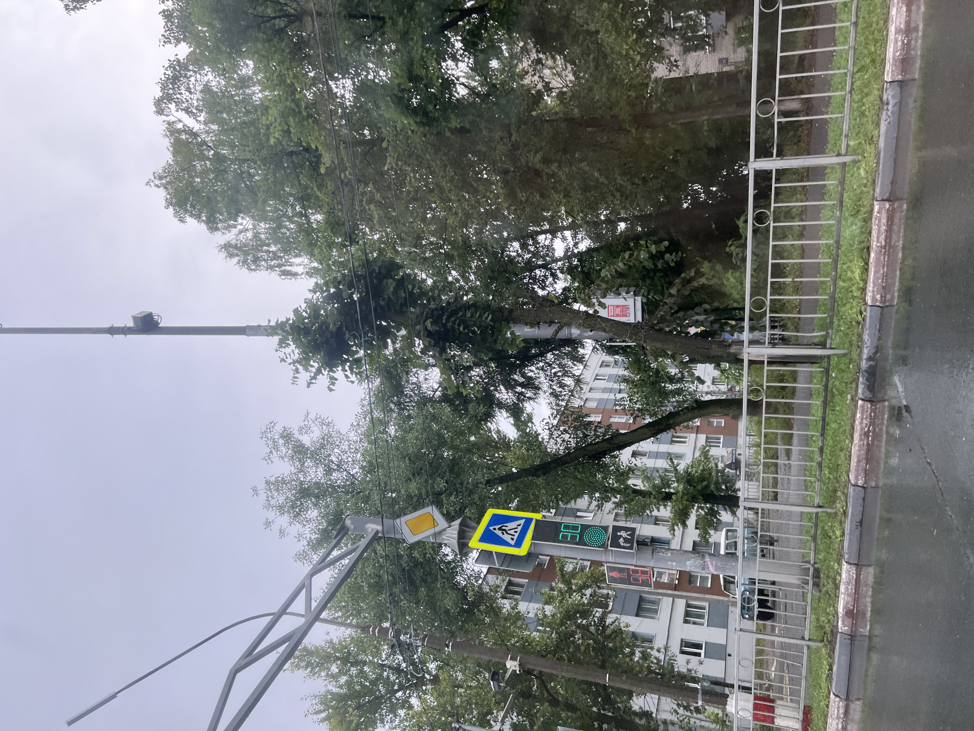 The image depicts a street scene in Ulyanovsk, Russia, on an overcast day. In the foreground, a wet asphalt road surface with reflections is visible, bordered by a sidewalk with a metal fence. Behind the fence, a strip of green grass and trees line the street. A traffic light pole stands prominently, displaying a pedestrian crossing signal showing a walking figure in blue, a yellow diamond-shaped sign above it, and a digital countdown timer. Below the pedestrian signal, a traffic light shows a green circle. Further down the pole, another pedestrian signal displays a red standing figure, and a smaller digital display shows "38". A light blue car is parked behind the fence. In the background, multi-story residential buildings with white and grey facades are visible, interspersed with lush green trees. Power lines are strung across the upper portion of the image.