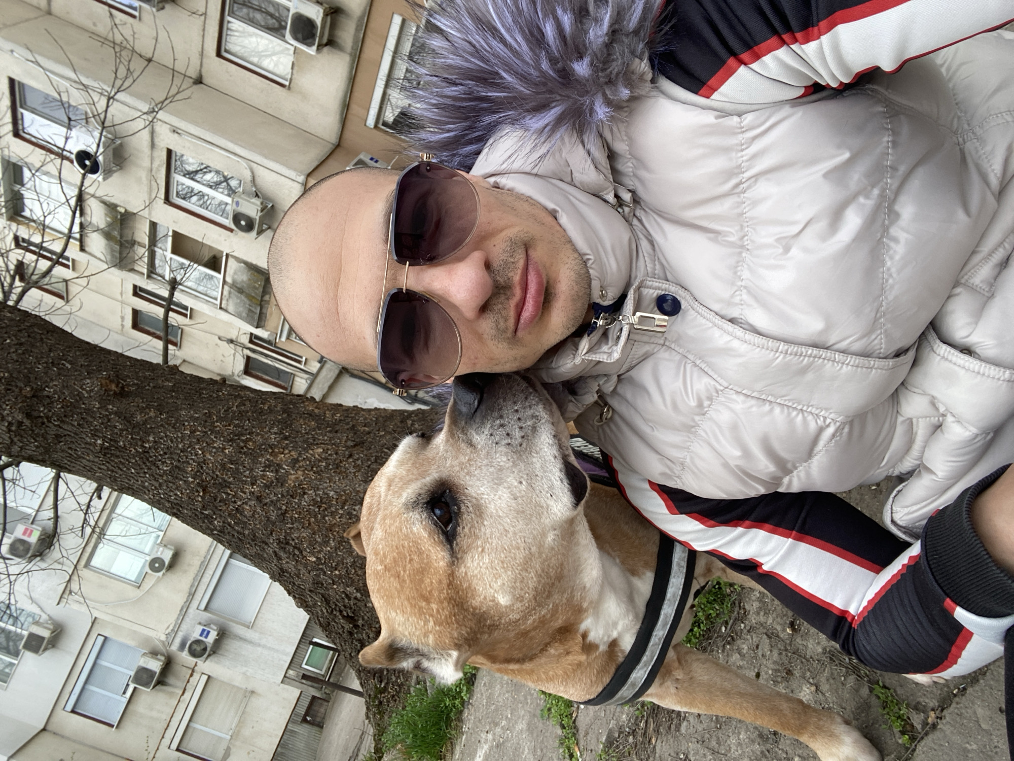 An adult male and a tan-colored dog are captured in a close-up outdoor scene in Pleven, Bulgaria. The male, exhibiting a shaved head and facial stubble, wears aviator-style sunglasses with dark lenses, a light grey quilted winter jacket with a grey fur-lined hood, and a black long-sleeved garment with white and red stripes on the sleeves. He is positioned in the foreground, appearing to take a selfie. The dog, a tan-and-white breed resembling an American Staffordshire Terrier, wears a black harness with white reflective strips and has its snout pressed against the man's left cheek. Behind them, a large tree with dark, textured bark stands prominently. In the background, multiple stories of light-colored residential buildings are visible, featuring numerous externally mounted air conditioning units and windows, some with closed or partially open roller shutters. The ground beneath them is a mixture of concrete and sparse green vegetation. The lighting suggests an overcast or moderately bright outdoor environment.