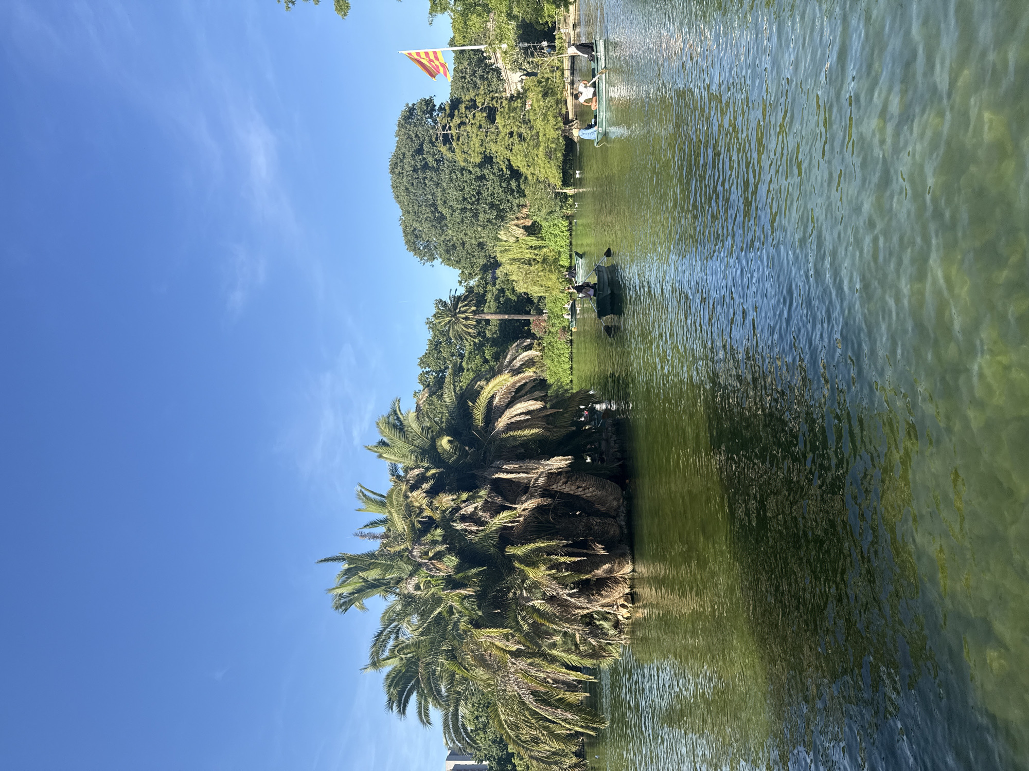In Barcelona, Spain, this image captures a scenic view of Parc de la Ciutadella. The foreground is dominated by a tranquil lake, its green water reflecting the vibrant foliage and clear blue sky. Several rowboats, occupied by various individuals, are scattered across the lake, some actively paddling.
To the left, a large, lush palm tree stands on a small island, its fronds reaching outwards. The background is a tapestry of dense green trees, characteristic of the park's landscape. In the distance, a Catalan flag flutters on a flagpole, adding a touch of local identity to the scene. The overall impression is one of a peaceful and leisurely day in a city park, with people enjoying the natural beauty and recreational activities offered by the lake.
