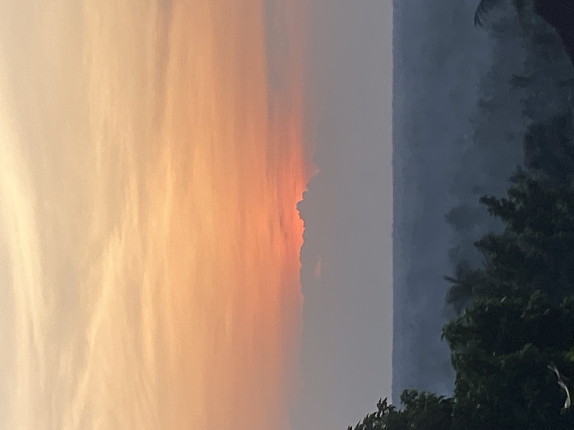The image depicts a panoramic natural landscape in Nguzu Edda, Nigeria, captured during either sunrise or sunset. The upper third of the frame is dominated by a sky that gradients from a pale, warm yellow-orange at the top to a rich, intense orange-red at the mid-level. A prominent, dark horizontal band of dense cumulus-like clouds extends across the middle of the frame, partially obscuring the sun, which appears as a bright, glowing orange-red source just above the cloud line in the center.
Below this cloud layer, the atmosphere appears hazy, rendering the distant landscape in successive layers of muted blue-gray tones. This midground comprises a vast expanse of rolling terrain covered in dense, indistinct vegetation, likely forests or agricultural areas, stretching towards the horizon. No specific structures or land features are clearly discernible in this hazy distant view.
The foreground, primarily on the left and bottom sections, features the dark silhouettes of dense tree foliage, indicative of vegetation close to the camera. The leaves are undifferentiated due to the backlighting conditions. A dark, indeterminate mass, possibly a structure or additional dense foliage, is present in the lower right corner. No people, animals, or distinct man-made objects or structures are visible within the frame. The overall lighting conditions suggest a twilight period, characterized by soft, warm light from the low-lying sun and significant atmospheric haze.