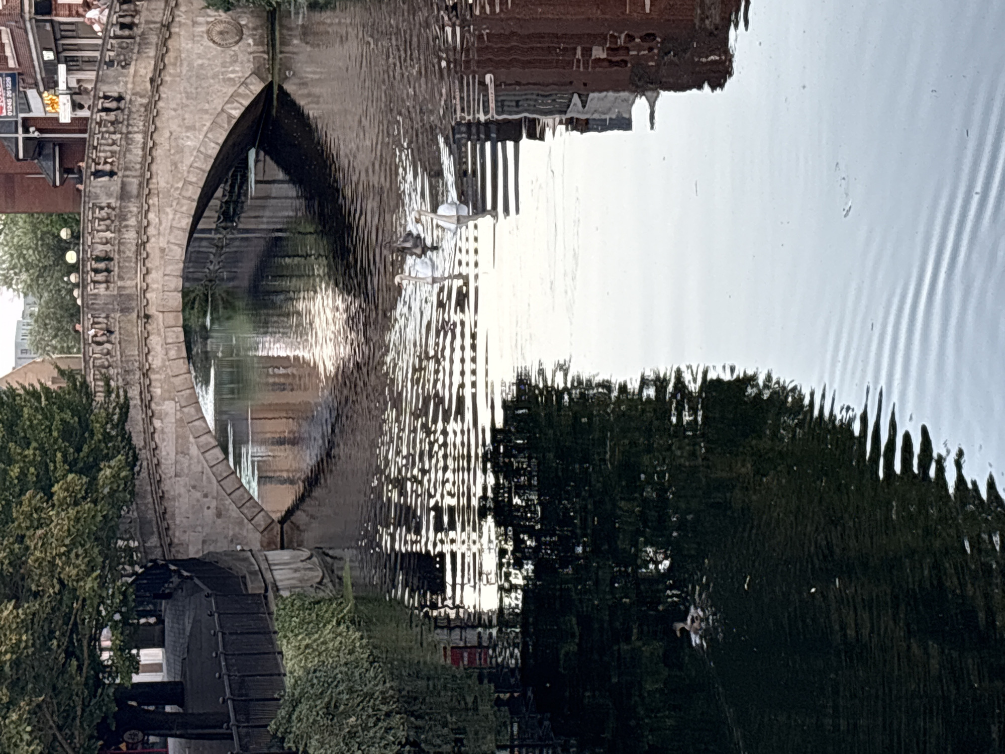 The image depicts a view of the River Chelmer in Chelmsford, United Kingdom. A stone bridge with decorative railings arches over the water. Several swans and at least one duck are swimming in the river, leaving ripples in their wake. The reflections of trees, buildings, and the bridge are visible on the water's surface. On the left side of the riverbank, there is lush greenery and a metal fence. On the right side, brick buildings with windows can be seen. The overall scene captures a tranquil urban waterfront setting.