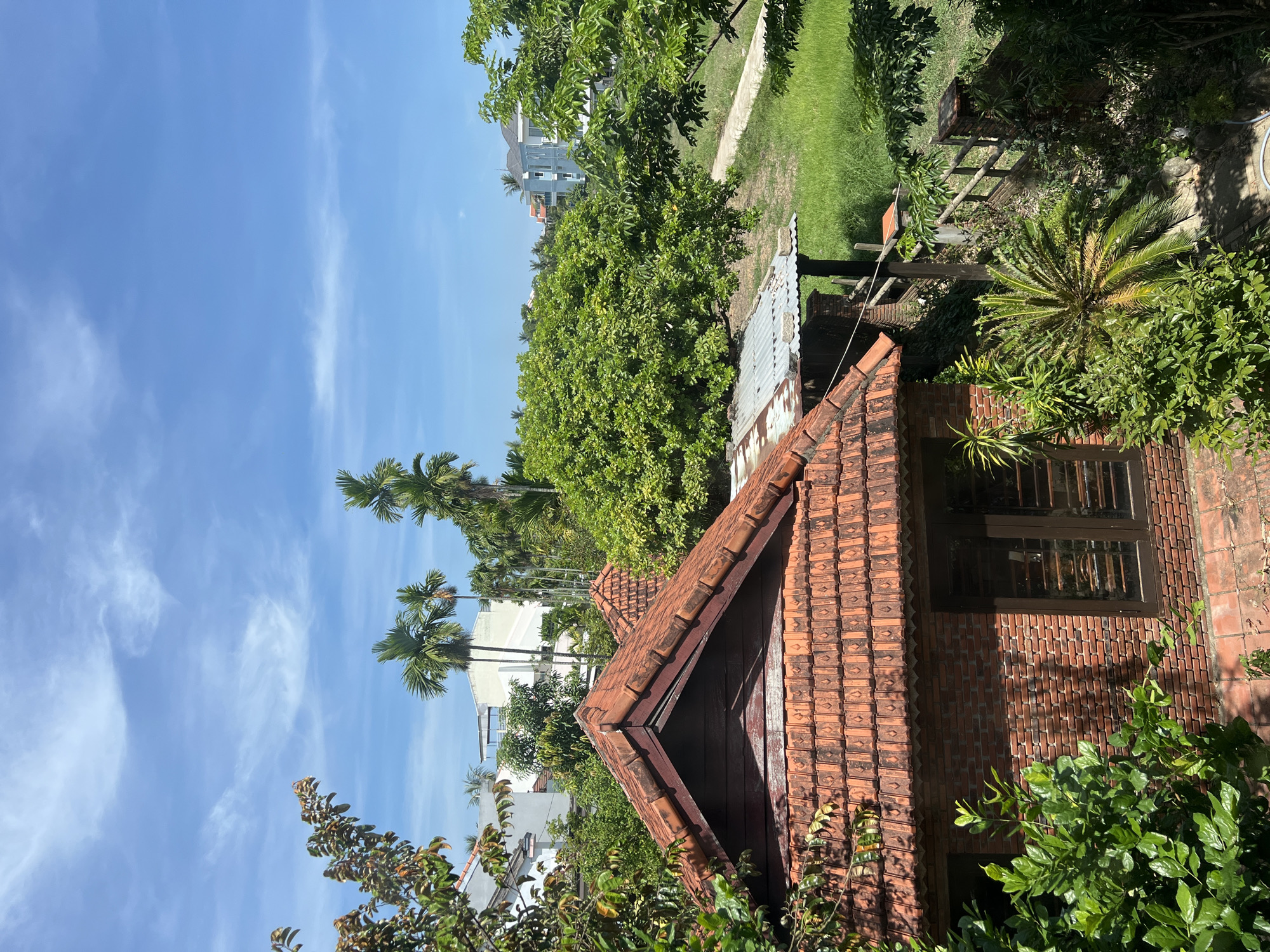 The image depicts a residential area in Đà Nẵng, Vietnam, characterized by lush greenery and traditional architecture. In the foreground, a brick house with a red tile roof is partially obscured by dense foliage. The house has dark-framed windows and appears to be a single-story structure. Adjacent to it is another small building with a corrugated metal roof. Beyond these structures, a pathway winds through a vibrant green lawn, bordered by a rustic wooden fence. The background reveals several modern buildings, including a light blue house, and numerous palm trees, suggesting a tropical climate. The sky is a clear blue with scattered white clouds, indicating a sunny day. The overall impression is one of a serene, semi-urban environment with a blend of older and newer residential styles.