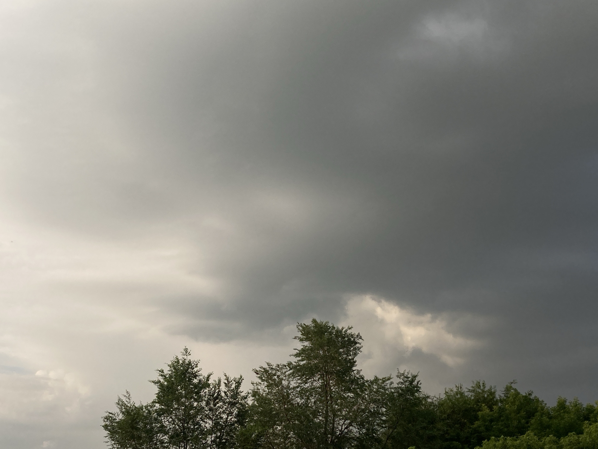 The image shows a sky filled with dark, ominous storm clouds. The clouds are thick and heavy, with varying shades of grey and white, suggesting an approaching storm. In the lower portion of the image, the tops of several green trees are visible, their foliage appearing lush and dense. The scene is captured from a ground-level perspective, looking upwards towards the sky. There are no people or man-made structures visible in the image. The environment appears to be a natural setting, possibly a park or a forest edge, on the outskirts of the city of Rakity, Russia, given the context provided.
