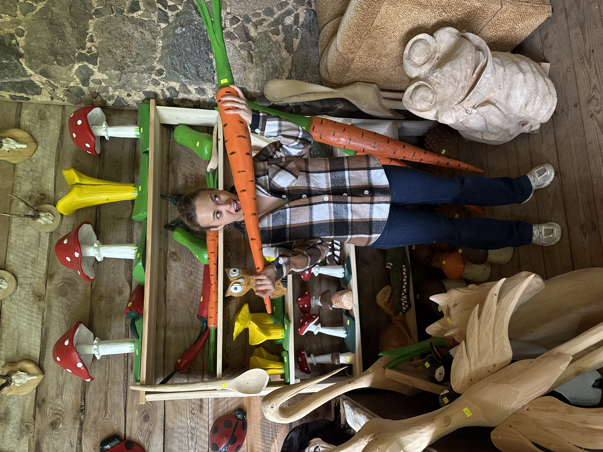 The image depicts an indoor scene within a craft shop or market, located in Unknown, Latvia. A single individual, appearing as a young adult female, stands centrally. She wears a brown, black, and beige plaid long-sleeve button-up shirt, blue jeans, and light-colored athletic shoes. Her brown hair is pulled back, and she exhibits an exaggerated, wide-eyed, open-mouthed expression, looking directly at the viewer. She holds a large, oversized, orange painted wooden carrot, with green painted leaves, horizontally across her upper chest/neck area, using both hands. Another similar large orange wooden carrot is visible leaning vertically against a shelf system to her left.
The background consists of two distinct wall sections. The left wall is constructed from horizontal wooden planks of varying tones. Mounted on this wall are several animal skulls with antlers, positioned on wooden plaques. Below these, a red and black spotted ladybug carving is also affixed to the wooden wall. The right wall is composed of irregular, rough-hewn grey and brown stones.
A wooden shelving unit is positioned against the planked wall, displaying numerous carved wooden objects.
- The top shelf features two large red and white spotted mushroom carvings, interspersed with two bright yellow, abstract, potentially floral or fungal carvings. Smaller painted wooden items, including red and green chili peppers and an orange carrot, are arranged in front of these. Yellow price tags are visible on some items.
- The second shelf from the top displays a large wooden spoon, more yellow abstract carvings, and a carved wooden owl with prominent eyes. Similar to the top shelf, smaller carved chili peppers and carrots are also present.
- The third shelf contains several red and white spotted mushroom carvings and some brown-capped mushroom carvings.
- The lowest visible shelf holds a carved wooden turtle and a carved wooden alligator with an open mouth.
On the wooden floor, to the left of the individual, are various unfinished or raw wooden carvings, including pieces resembling long-necked birds or abstract shapes. To the right of the individual, near the stone wall, a large carved wooden frog with prominent eyes rests on the floor. The floor itself is made of light-colored wooden planks.