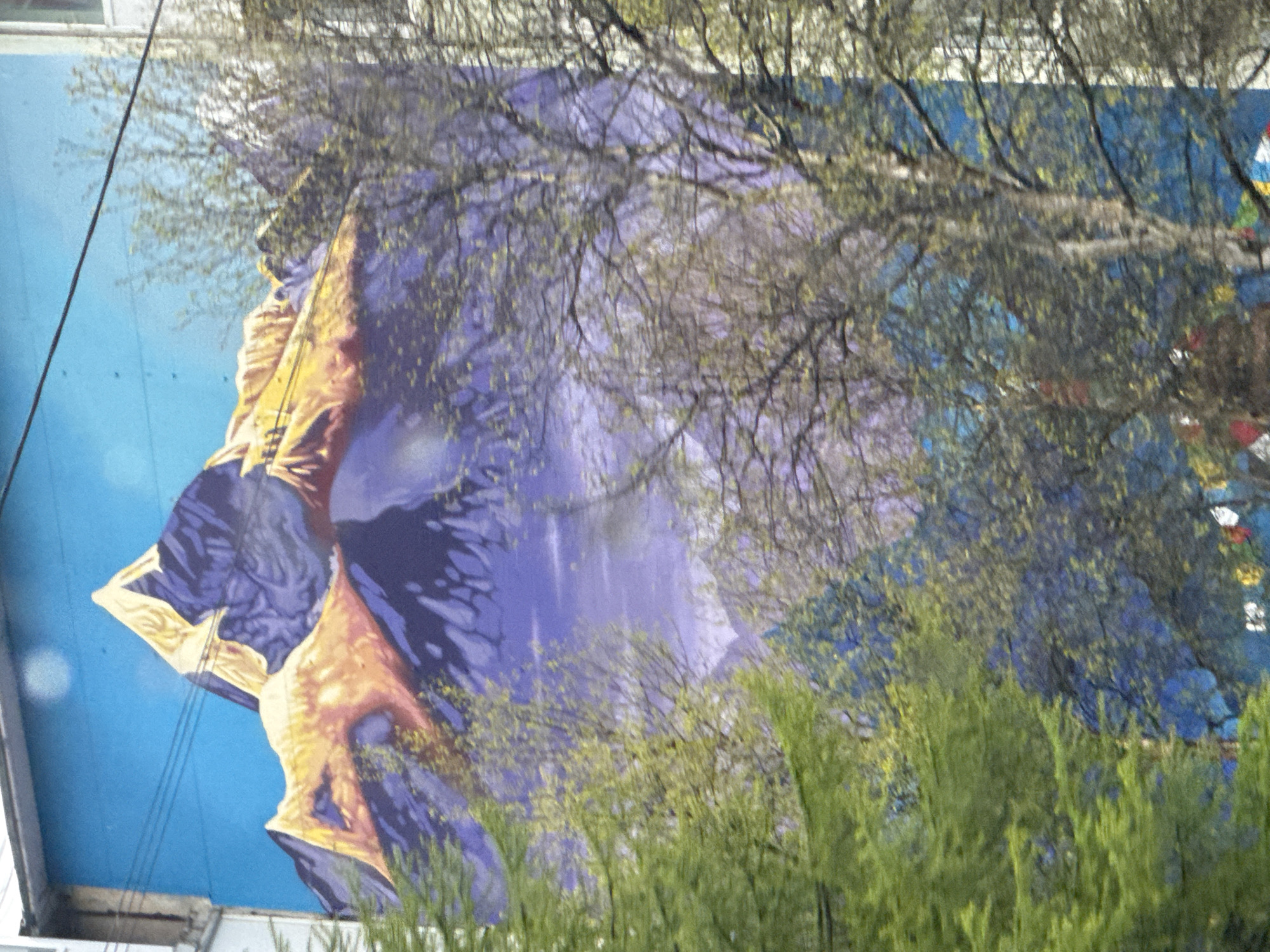 The image displays a large mural painted on the side of a building. The mural depicts a mountain range under a bright blue sky. The mountains are rendered in shades of purple, yellow, and white, with sharp peaks and shadowed crevices. In the foreground, the mural is partially obscured by a leafy green tree and other foliage, suggesting a natural landscape at the base of the mountains. The mural is on an urban building, indicated by the visible architectural elements of the building's facade and overhead power lines.