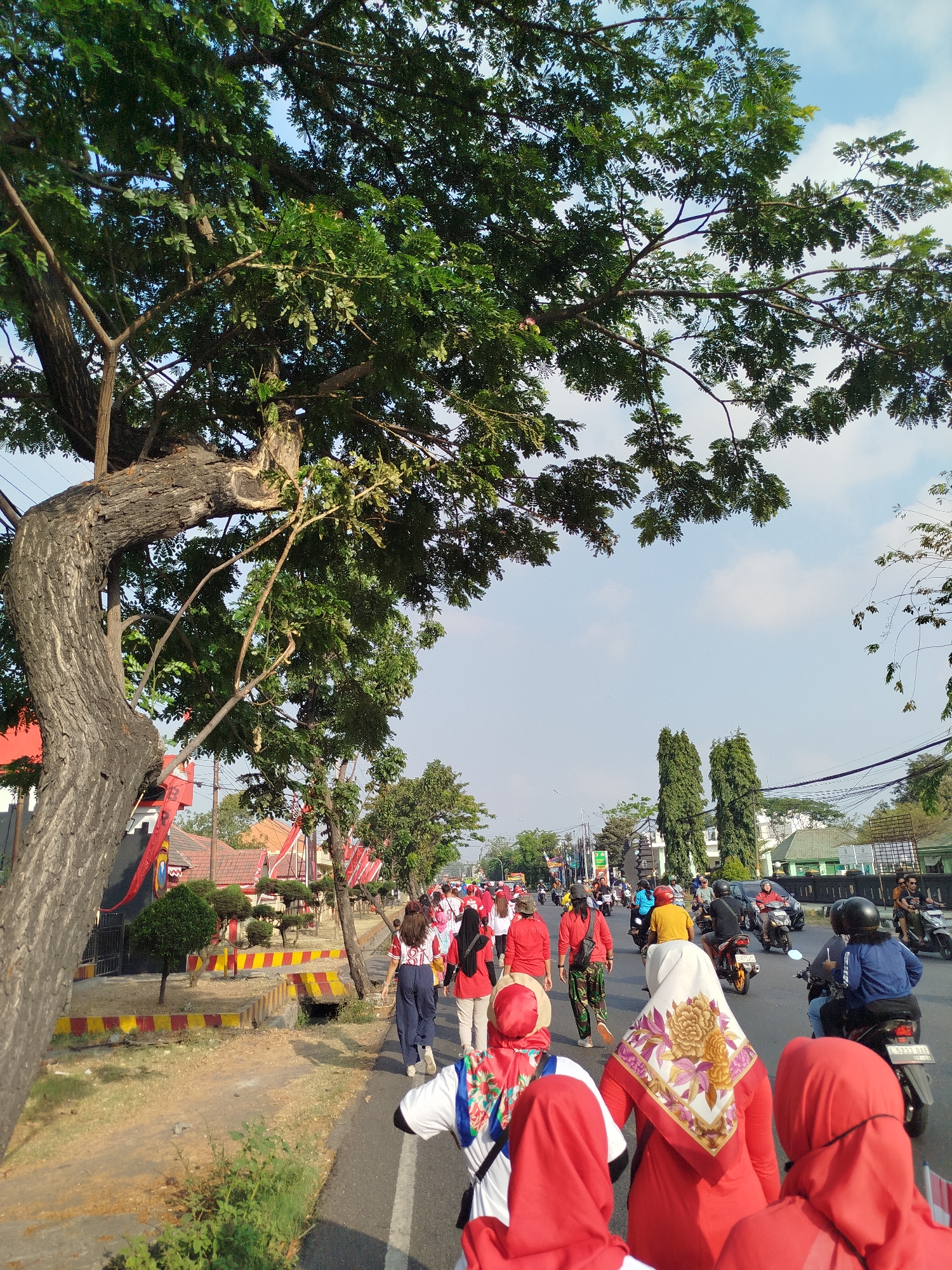 The image captures a street scene in Surabaya, Indonesia, likely during an event or parade, given the large gathering of people. A prominent, gnarled tree with dense green foliage dominates the left side of the frame, its branches extending over the sidewalk and street. A group of people, predominantly dressed in red and white attire, are walking along the road. Some are wearing headscarves, including one with a floral pattern. A few individuals are on motorcycles, contributing to the sense of movement in the scene. Buildings with red and white accents are visible along the street, along with decorative elements and various trees and utility poles. The sky is partly cloudy, suggesting it's daytime. The road surface is paved, and there's a sidewalk area with grass and some shrubbery.