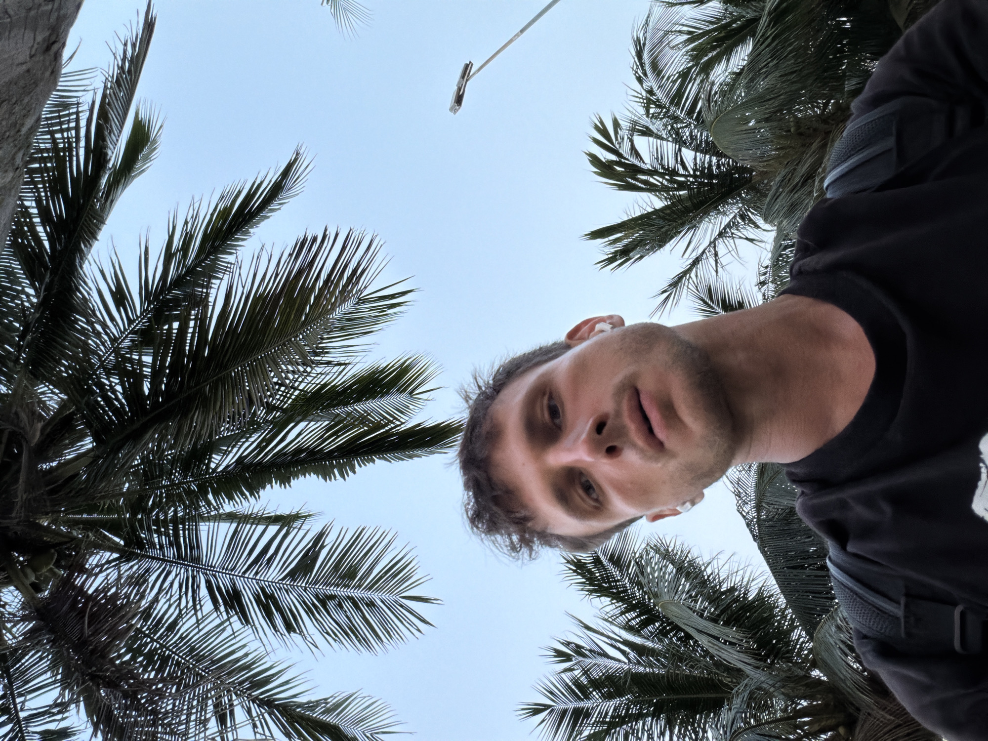 A low-angle medium shot depicts a light-skinned male wearing a black shirt, presumably in Đà Nẵng, Vietnam, based on the presence of palm trees. He appears to be using a camera held above him to take a selfie or photograph the sky. Several palm trees frame the man's face against the pale blue sky. A long pole with a rectangular object on top is visible in the upper center of the shot. The man's face is slightly angled towards the camera, showing his eyes and mouth. He wears a small white device in his ear. The lighting is diffused, suggesting an overcast or early morning/late afternoon time.