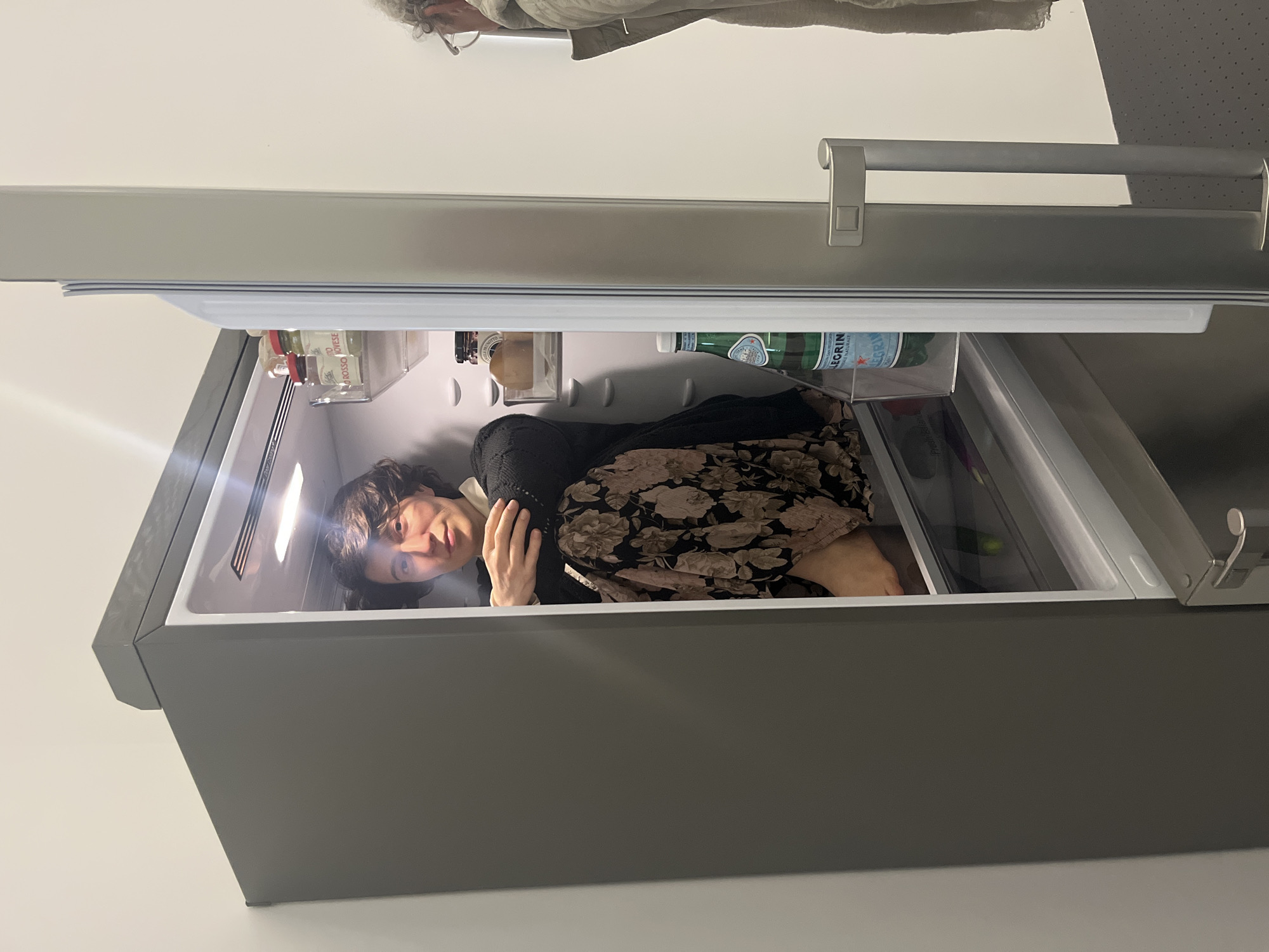 A person is inside an open refrigerator. The refrigerator is mostly empty except for a few glass bottles, a jar, and a bin filled with produce. The person, whose gender is unclear, is dressed in a dark top and floral skirt, and is curled up inside. The refrigerator is grey and white. The scene is indoors, with a white wall visible in the background. There is no information available to confirm this image was taken in Metz, France.