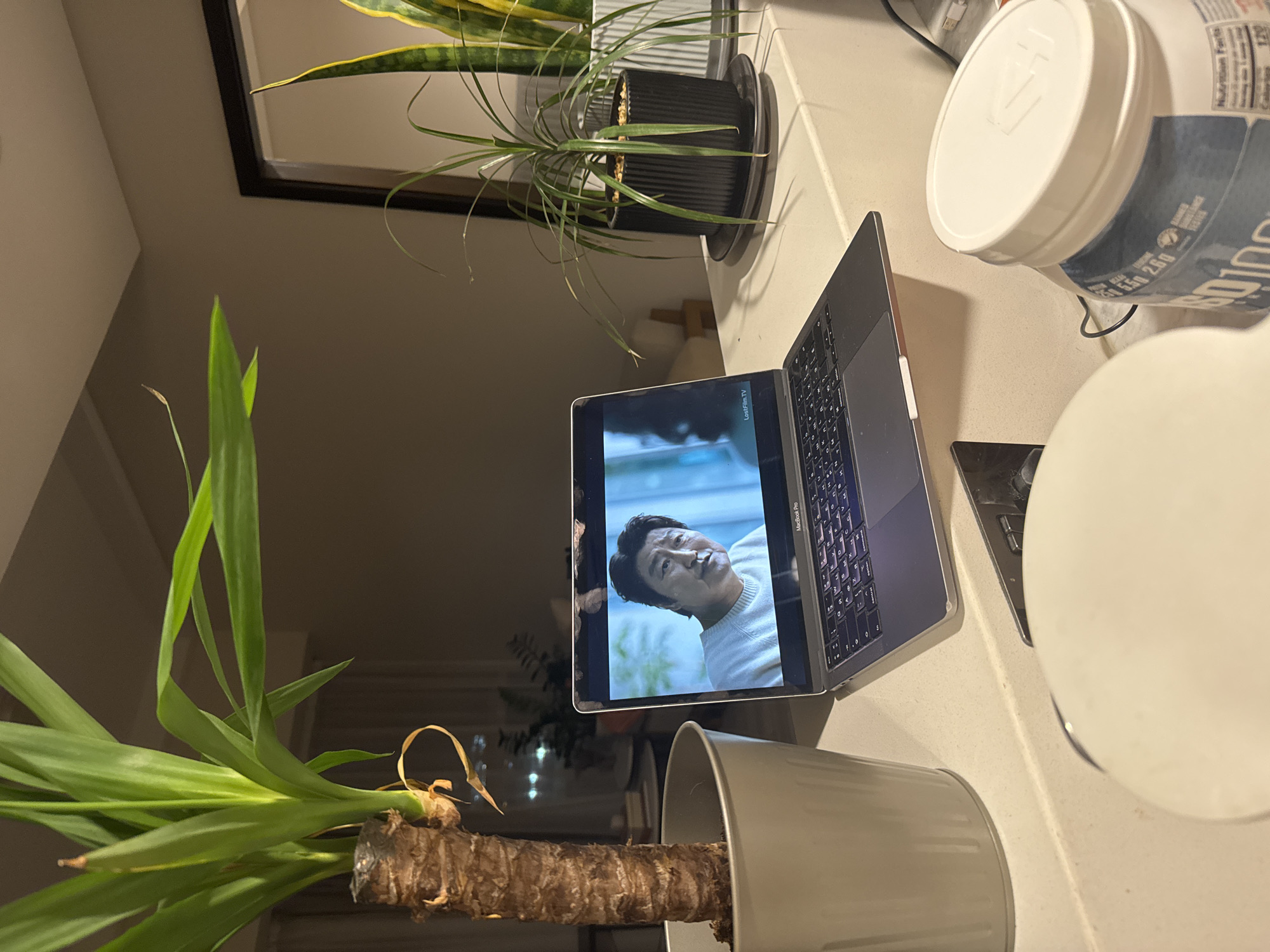 The image shows a countertop scene. A laptop is open, displaying a scene from a movie featuring a man with dark hair wearing a white sweater. Two plants in pots frame the scene, one with long green leaves in a light-colored pot and another with upright striped leaves in a black pot. Two white containers with blue labels sit near the laptop. A smartphone rests between the laptop and the containers. The environment suggests an indoor setting, possibly a kitchen or office area, with a window visible in the background. The image does not depict Dubai or the United Arab Emirates.