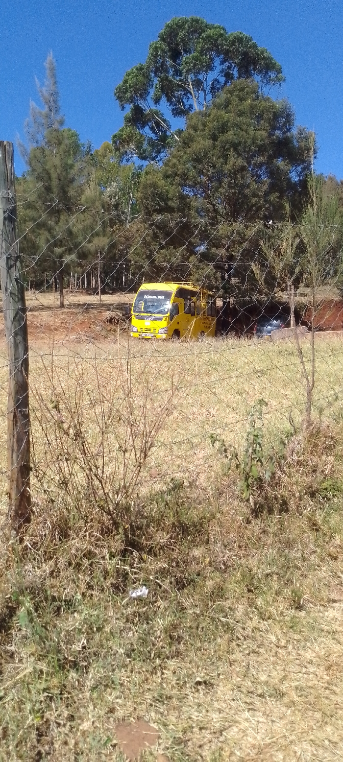 A yellow school bus sits in a grassy field, partially obscured by trees and a chain-link fence. The field is mostly dry grass, with some green patches and scattered debris. A wooden fence post stands in the foreground. The background shows more trees against a clear blue sky.