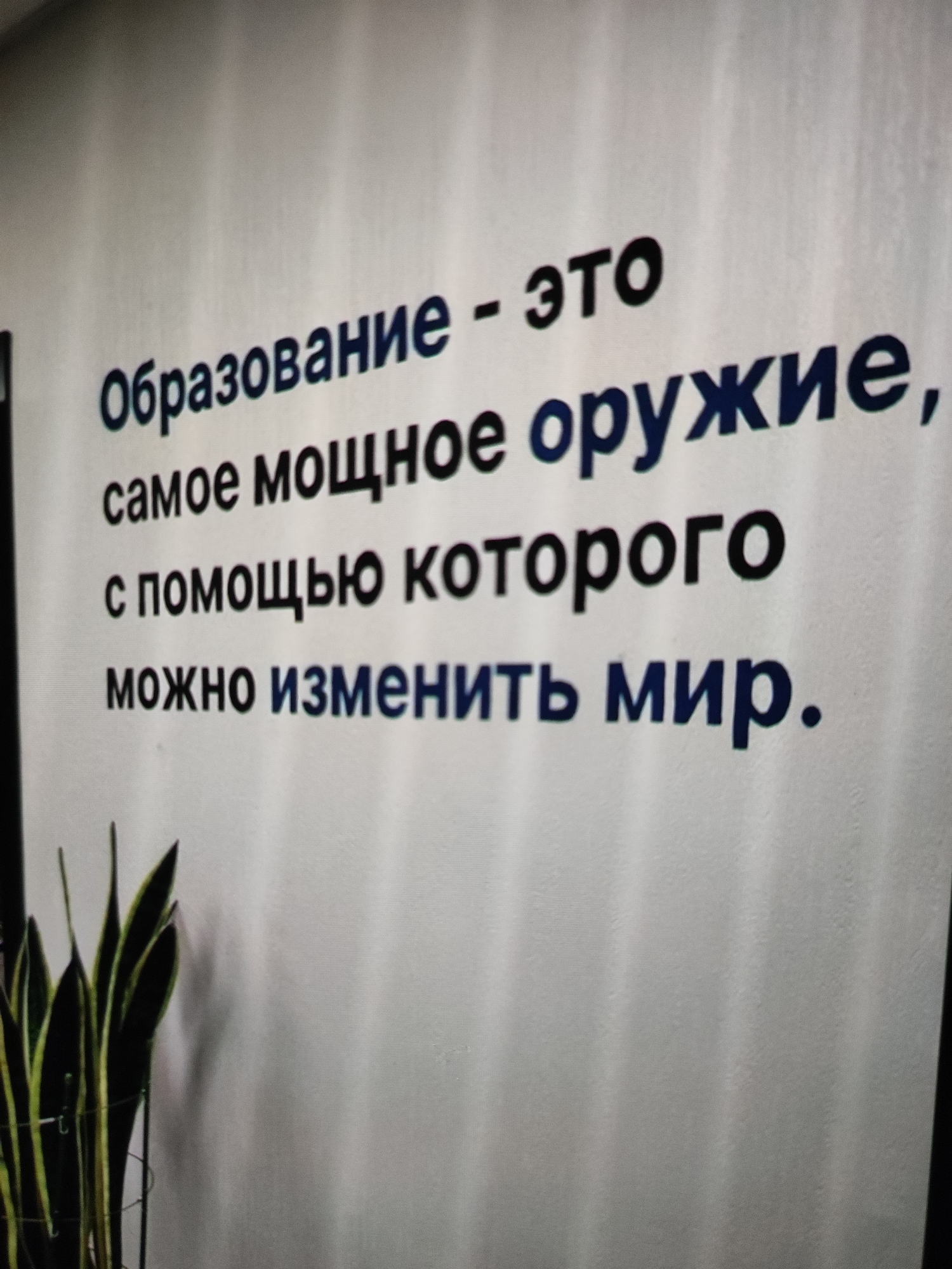 The image shows a quote written on a white wall in dark blue font. The quote is in Russian and reads: "Образование - это самое мощное оружие, с помощью которого можно изменить мир." (Education is the most powerful weapon, with which the world can be changed.) Below the quote, a plant with long, green and yellow striped leaves is visible on the left side of the frame. The background is a plain white wall, possibly in an indoor setting. There are no people visible in the image. The location is identified as Tashkent, Uzbekistan.