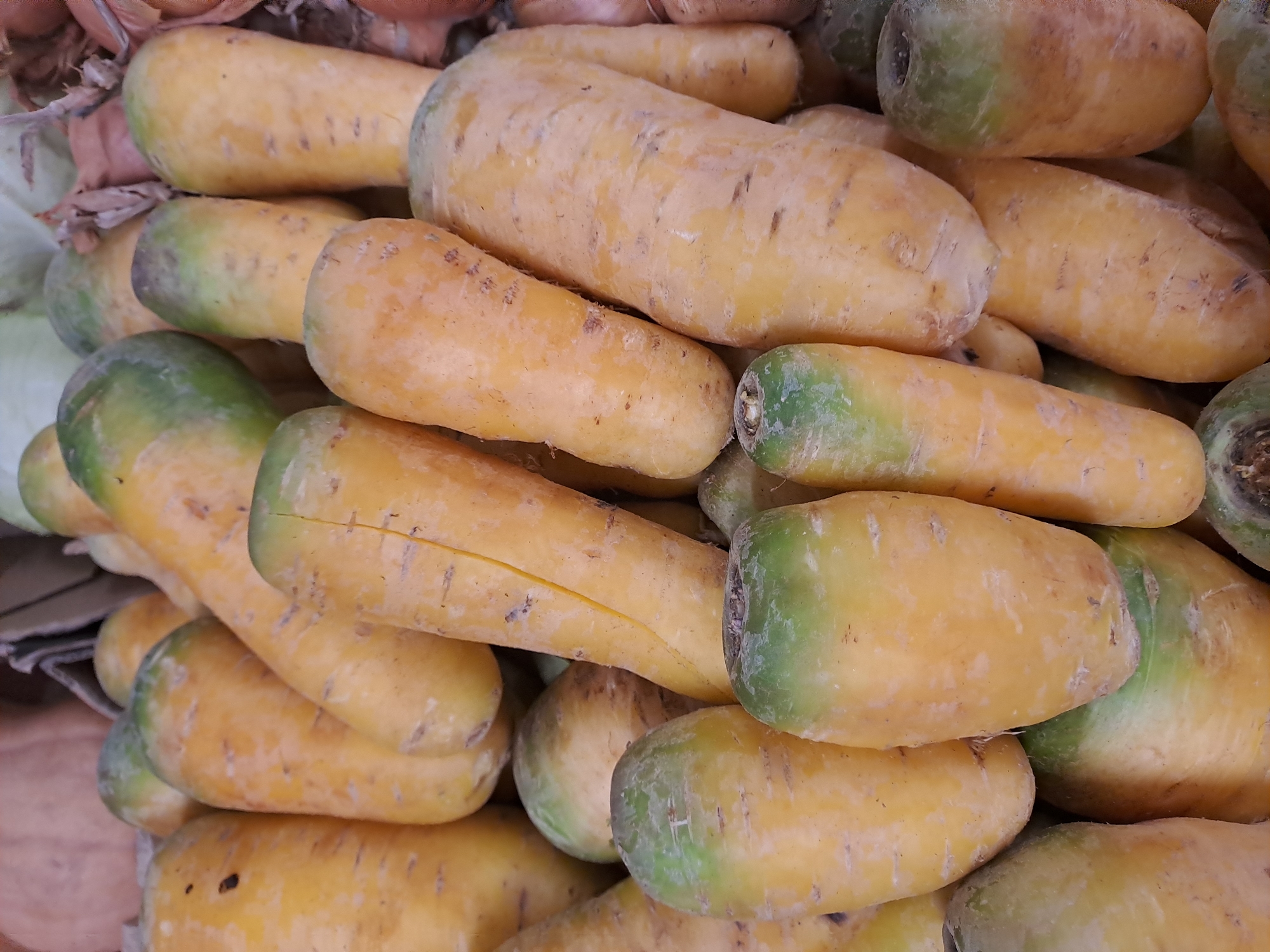 The image shows a close-up view of a pile of unwashed yellow carrots, some with green tops, likely at a market in Elektrostal, Russia. The carrots are stacked haphazardly, with varying sizes and shapes. The surface of the carrots is uneven and shows dirt, imperfections, and slight color variations. The overall lighting suggests an indoor market setting. There are no people visible.