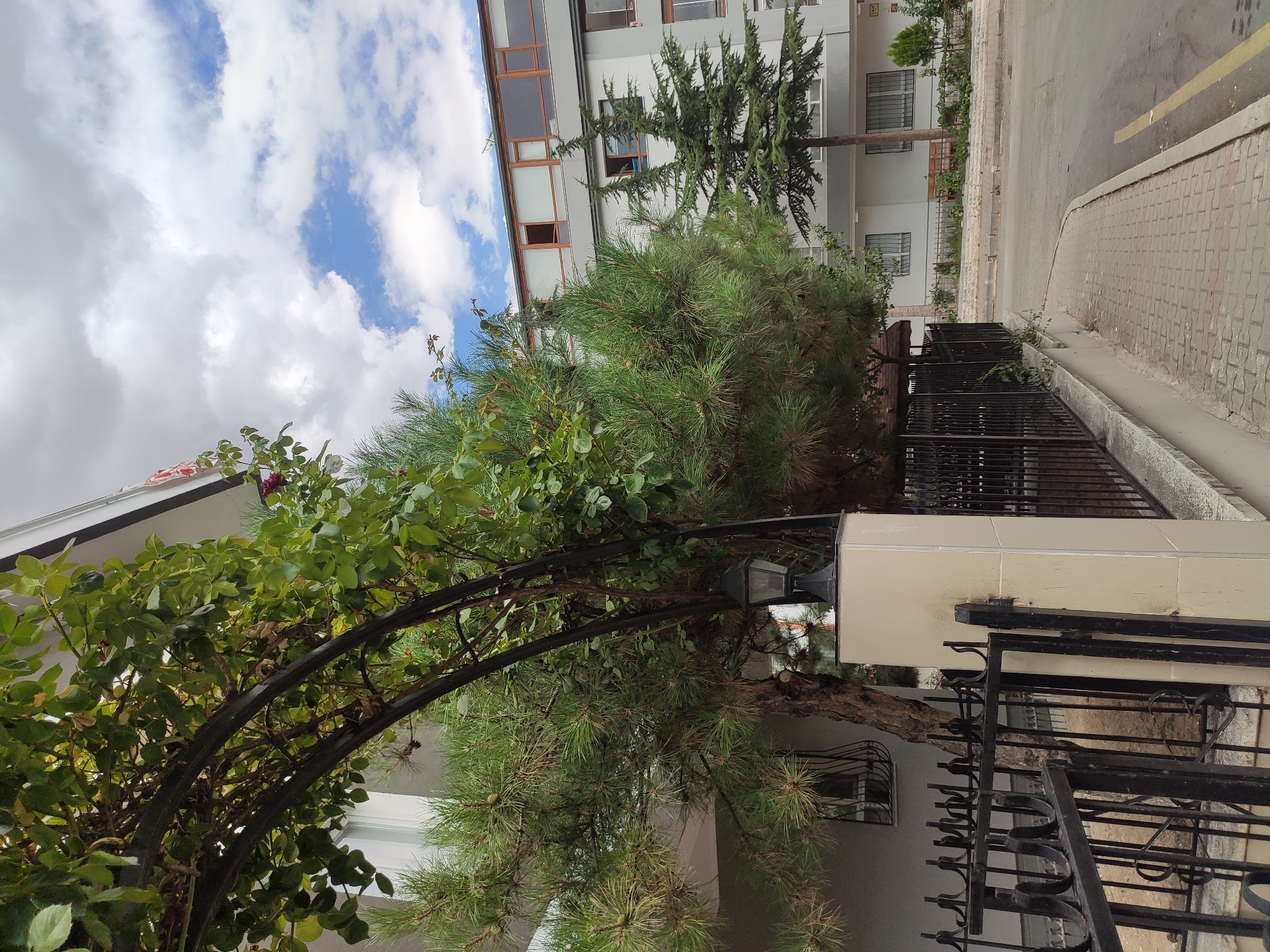 The image depicts a residential street in Mamak, Turkey, under a partly cloudy sky. In the foreground, a black metal fence encloses a property with a large pine tree and a rose trellis. To the right, a paved sidewalk runs alongside the street, which has a yellow line marking the lane. In the background, a modern multi-story apartment building with a light gray facade and numerous windows stands opposite the residential property. A smaller coniferous tree is planted in front of the apartment building. The scene appears quiet, with no people or vehicles visible. The overall impression is of a typical urban neighborhood in Turkey on a pleasant day.