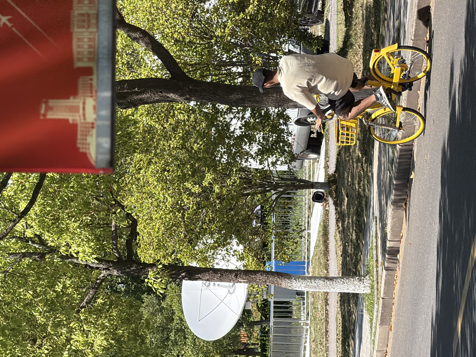 A man on a yellow bicycle is riding on a paved road in the Jiangning District, China. The man is wearing a light-colored shirt and a baseball cap. The bicycle has a basket in the front. A tree is visible to the left of the man, and a satellite dish is mounted on a tree trunk nearby. A red sign is partially visible on the left edge of the frame. A sidewalk and a grassy area with trees are to the left of the road. Cars are parked on the street nearby.