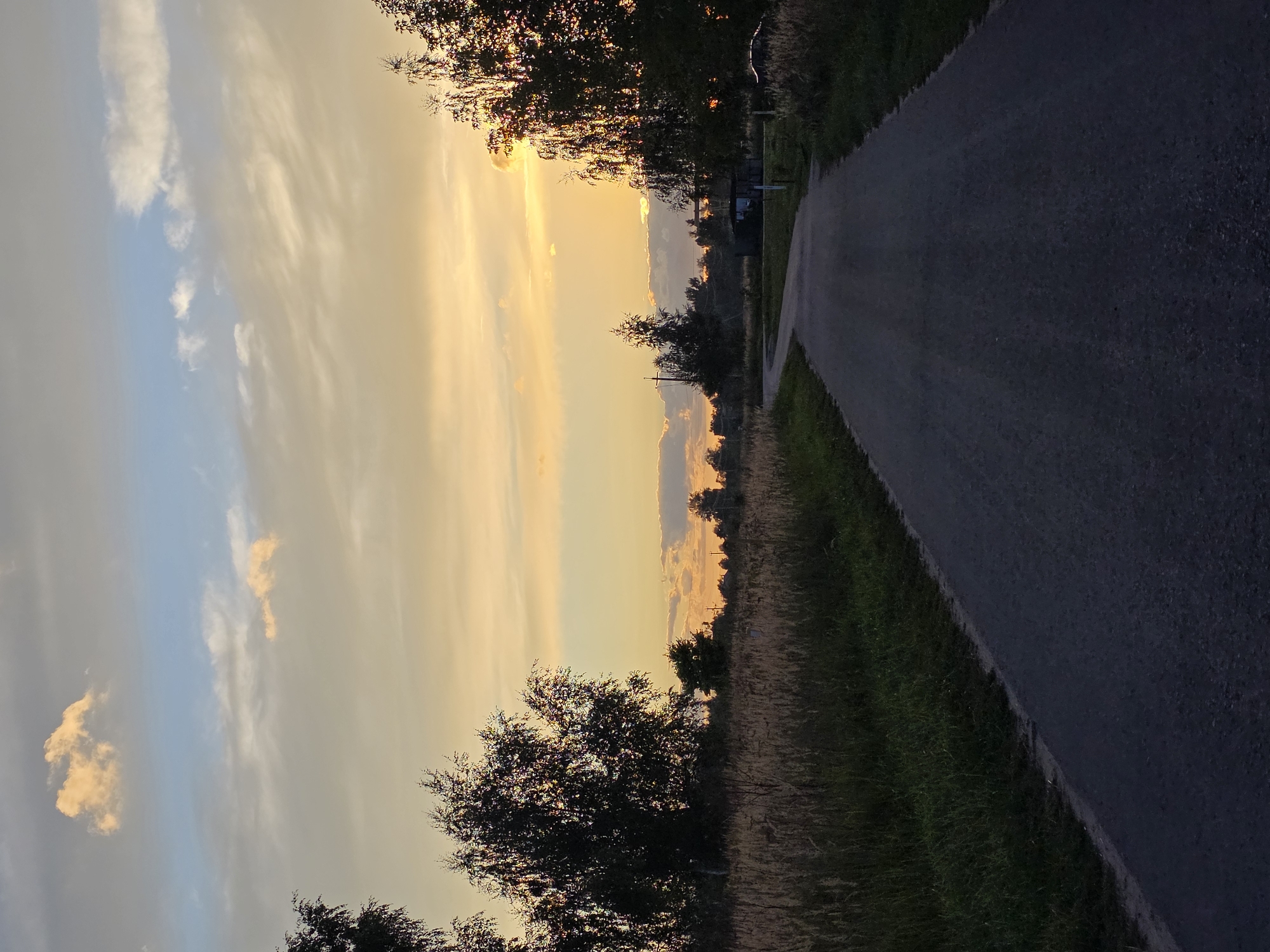 The image shows a winding asphalt road leading through a rural landscape during sunset. Tall grass and trees line the sides of the road, and in the distance, a few small structures are visible. The sky is filled with warm, golden hues, with scattered clouds. The scene is tranquil and serene, suggesting a peaceful evening in a remote location. The image does not contain any information about the city of Rechitsy, Russia.