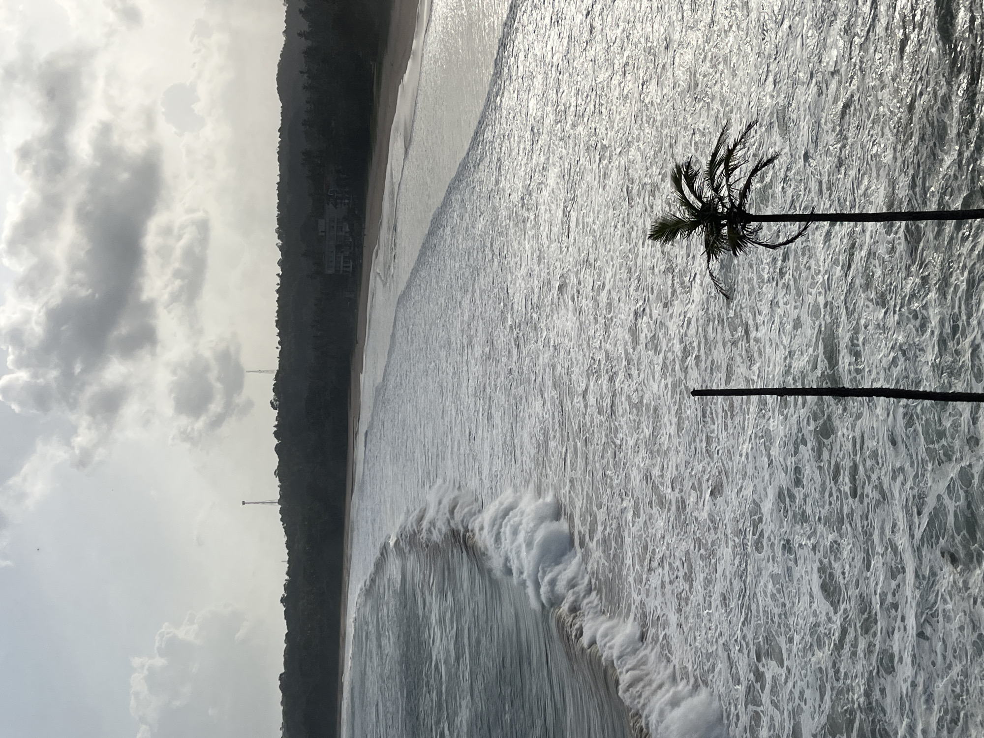 The image captures a panoramic view of the Talalla beach in Sri Lanka under a cloudy sky. The ocean is rough with significant wave action, creating white foam as waves break near the shore. The beach is sandy and stretches along the coastline, bordered by a dense line of trees. In the distance, atop the tree line, two telecommunication towers are visible, suggesting infrastructure in the area. A building, possibly a hotel or residential structure, is also discernible amidst the foliage. In the foreground, a single palm tree stands tall, silhouetted against the choppy sea, and a vertical pole is present to its left. The overall atmosphere is dramatic, with the interplay of light and shadow on the water and clouds contributing to a moody ambiance. There are no people clearly visible in the frame.
