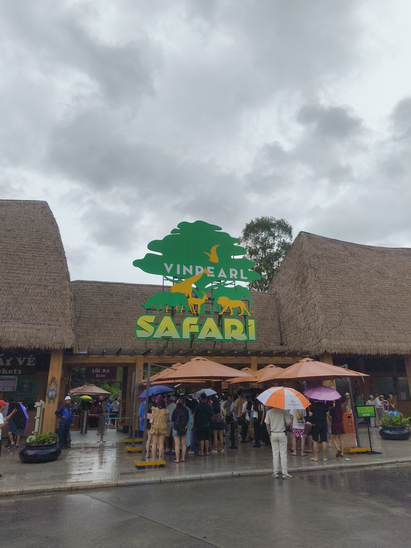 The image depicts the entrance to Vinpearl Safari in Phú Quốc, Vietnam, under a cloudy sky. A large sign with the words "VINPEARL SAFARI" and silhouettes of animals is prominently displayed above the entrance archway. The buildings have thatched roofs, typical of tropical architecture. A crowd of people are gathered, many holding umbrellas, suggesting it is raining. Some individuals are in line, possibly for tickets or entry. The ground is wet and reflects the light, confirming the rainy weather. Signs indicating "LOT RA EXIT" are visible near the entrance. Several umbrellas are open, protecting people from the rain. The overall scene conveys a busy entrance to a tourist attraction on a wet day.