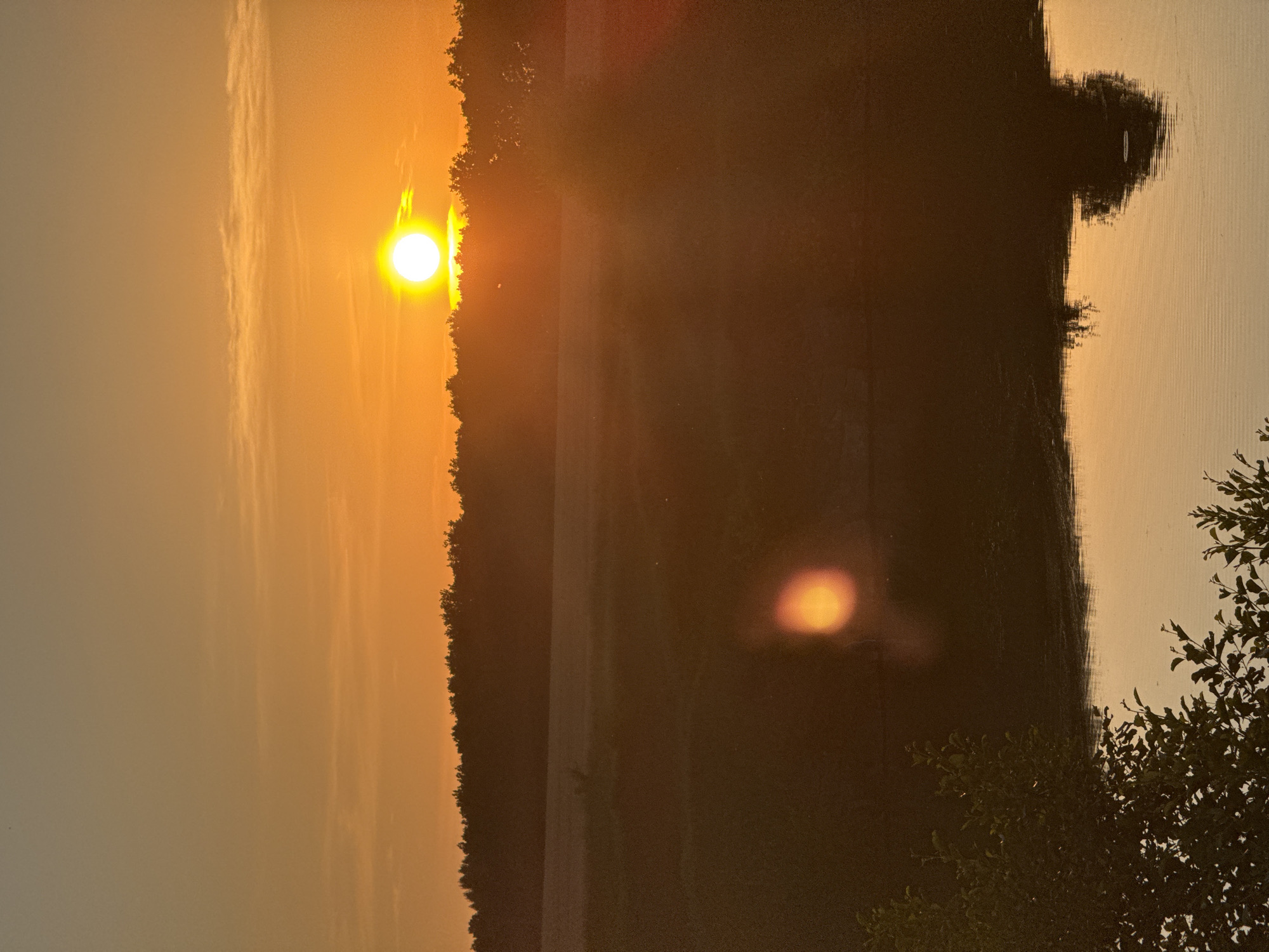 A vertical, low-angle, full shot captures a sunset over a body of water and a treeline in Horodyshche, Ukraine. The sun, a bright white orb with an orange halo, is positioned in the upper right quadrant of the frame, just above a dark, silhouetted treeline. The sky transitions from a pale yellow near the horizon to a soft orange, with thin, wispy clouds stretching horizontally across the middle of the frame.
Below the treeline, a dark landscape is visible, likely fields or hills, also in silhouette. A prominent lens flare, a bright, blurry orange circle, appears in the middle-left of the frame, likely from the setting sun reflecting off the water or the camera lens.
The lower portion of the image is dominated by a calm body of water, reflecting the warm hues of the sunset. The surface of the water is disturbed by subtle ripples, creating a textured pattern. In the foreground, on the left side, the dark, leafy branches of a tree intrude into the frame, adding depth and a sense of being at ground level. The reflection of the treeline and possibly a distant tree is visible in the water, distorted by the ripples. No people or animals are visible in the scene. The overall atmosphere is serene and tranquil.