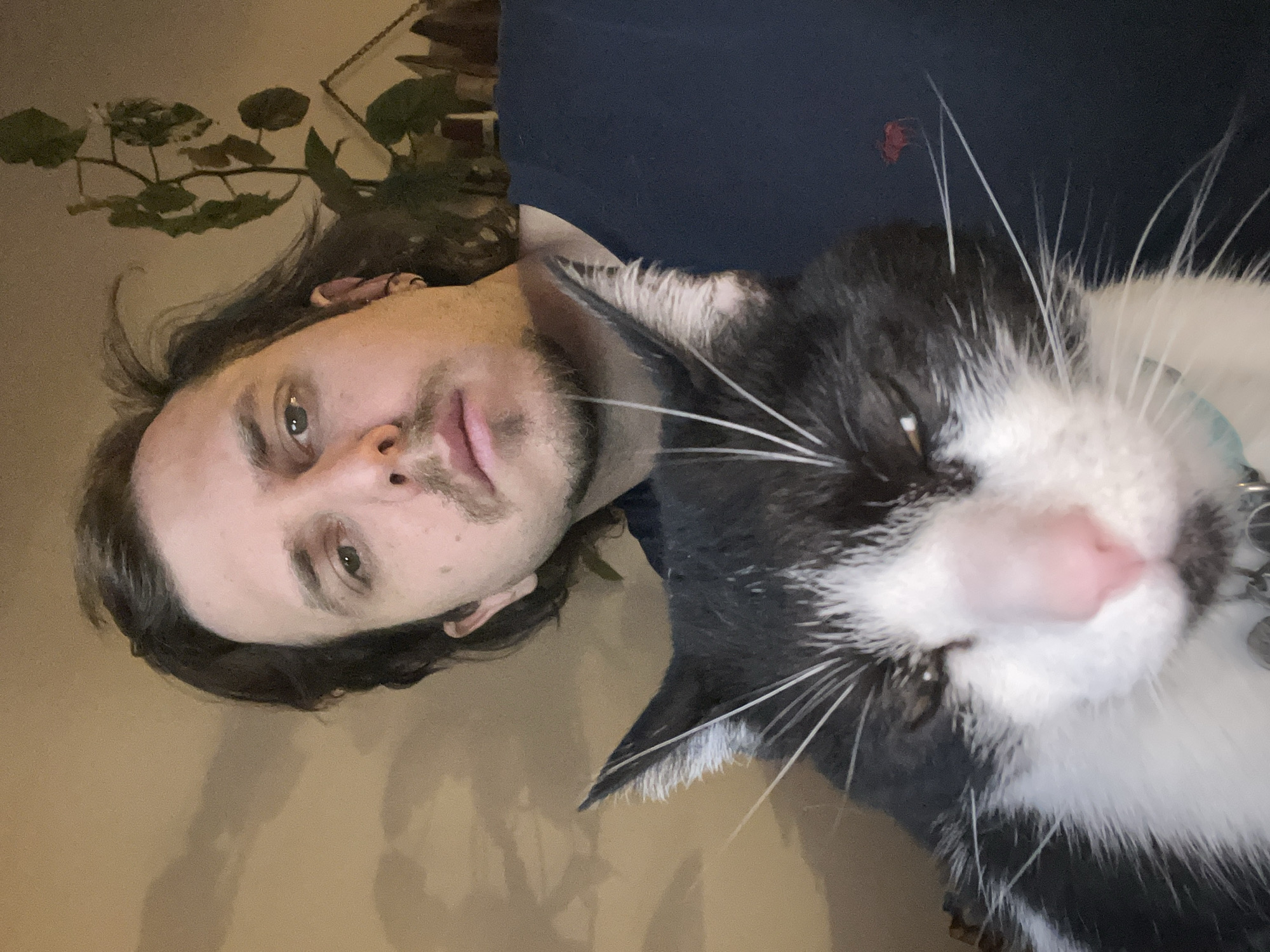 An indoor close-up image features a person and a cat, oriented sideways. The human subject, a man with shoulder-length dark hair, light-colored eyes, and stubble on his chin and upper lip, wears a dark blue shirt. He gazes directly at the camera with a neutral expression.
To his right, and closer to the camera, is a black and white tuxedo cat with prominent white whiskers and a pink nose. The cat's eyes are partially closed, suggesting a relaxed or sleepy state. It appears to be wearing a light blue collar with a metallic tag.
In the blurred background, a large-leafed green plant is visible behind the man's head. The wall behind them is a plain, light tan or beige color. A glimpse of a framed object can be seen in the upper right. A small, red, indistinct object is present in the dark blue area of the background behind the cat's head.
The scene depicts a candid moment between the man and the cat, possibly a selfie. The lighting is soft and even, typical of indoor conditions. The location context provided is Ushuaia, Argentina. No visible text is present in the image.