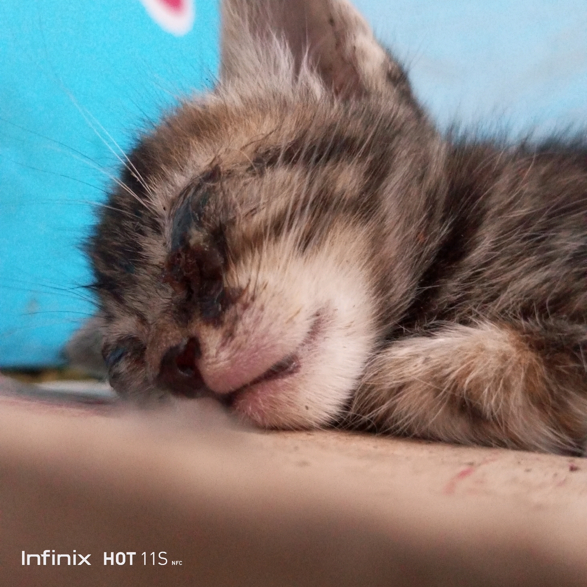 A close-up, low-angle shot shows a sick kitten sleeping on a light-colored surface. The kitten has a tabby coat and appears to be very young. Its eyes are closed, and its face is resting on the surface. The kitten's fur is somewhat matted, and there are dark marks around its eyes, suggesting an infection or injury. Its nose is pink and slightly wet. A light blue background with a blurred pink and white shape is visible behind the kitten. The bottom of the image displays the text "Infinix HOT 11S NFC". The scene is likely indoors, possibly in a home or a shelter, in Sukaslamet, Indonesia.