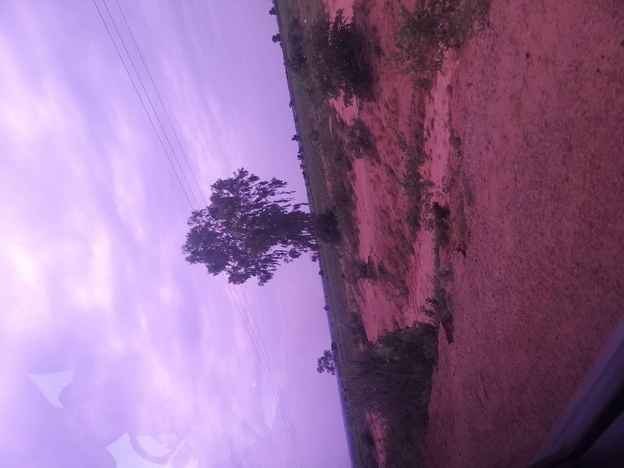 The image depicts a rural landscape under a purple-tinged sky. In the middle ground, a solitary tree with sparse foliage stands in a field of dry, reddish-brown earth. The terrain appears uneven and arid, with patches of low-lying vegetation and shrubs scattered across the landscape. Power lines stretch across the sky, intersecting the scene horizontally. The foreground is dominated by a dirt road or path, also reddish-brown in color, with some scattered gravel. The overall impression is one of a vast, open, and somewhat desolate environment, possibly on the outskirts of Kafarati, Nigeria.