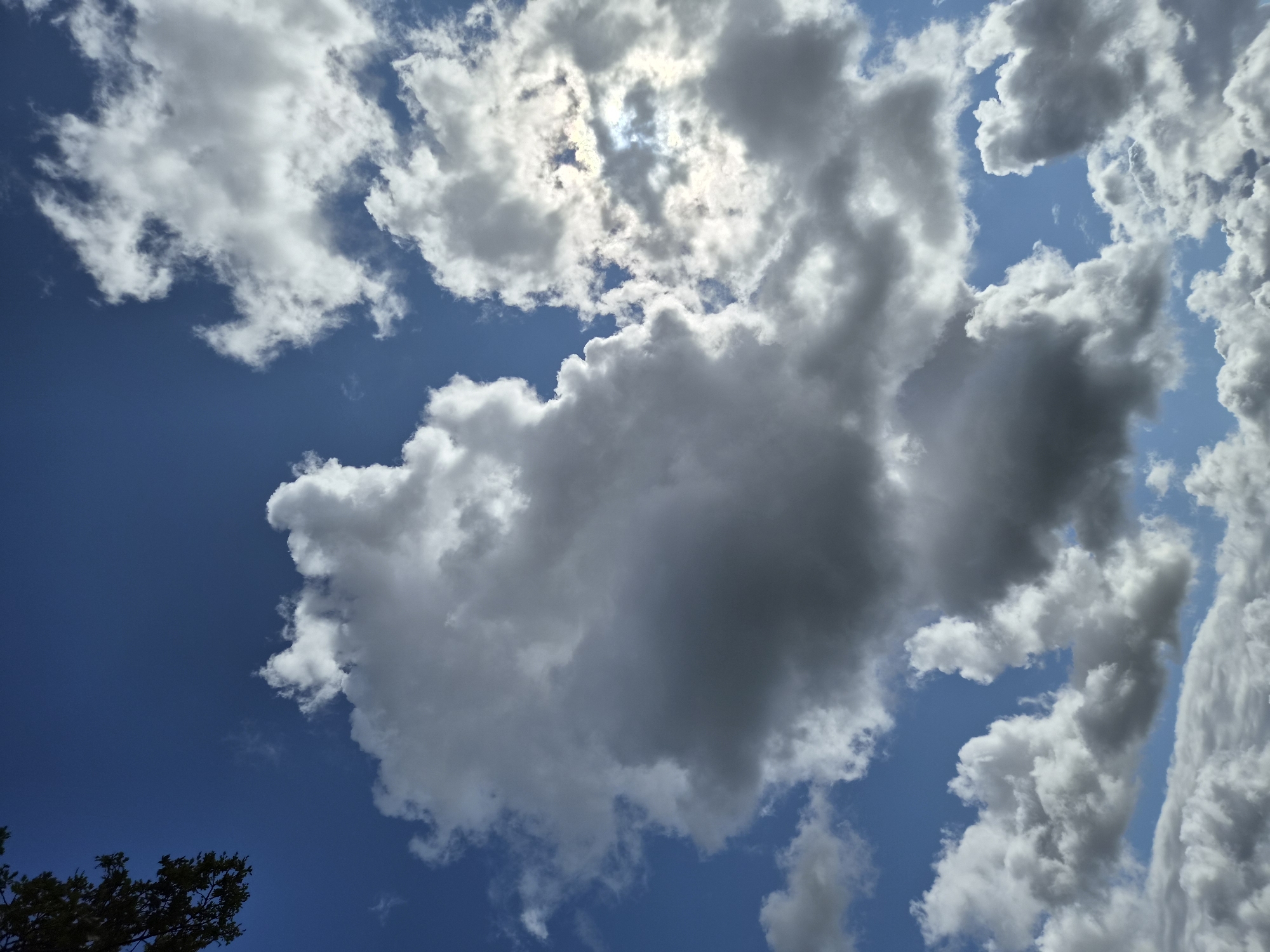 The image is a vertical, eye-level shot of a partly cloudy blue sky. In the upper left corner, a dark, leafy tree branch extends into the frame. Large, fluffy white and gray clouds dominate the center and right portions of the image. Sunlight partially shines through some of the clouds on the right, creating a bright, hazy effect. The scene appears to be an outdoor environment in Schiffdorf, Germany. There are no people or discernible objects other than the sky and clouds. The overall impression is of a dynamic sky with varying cloud formations.