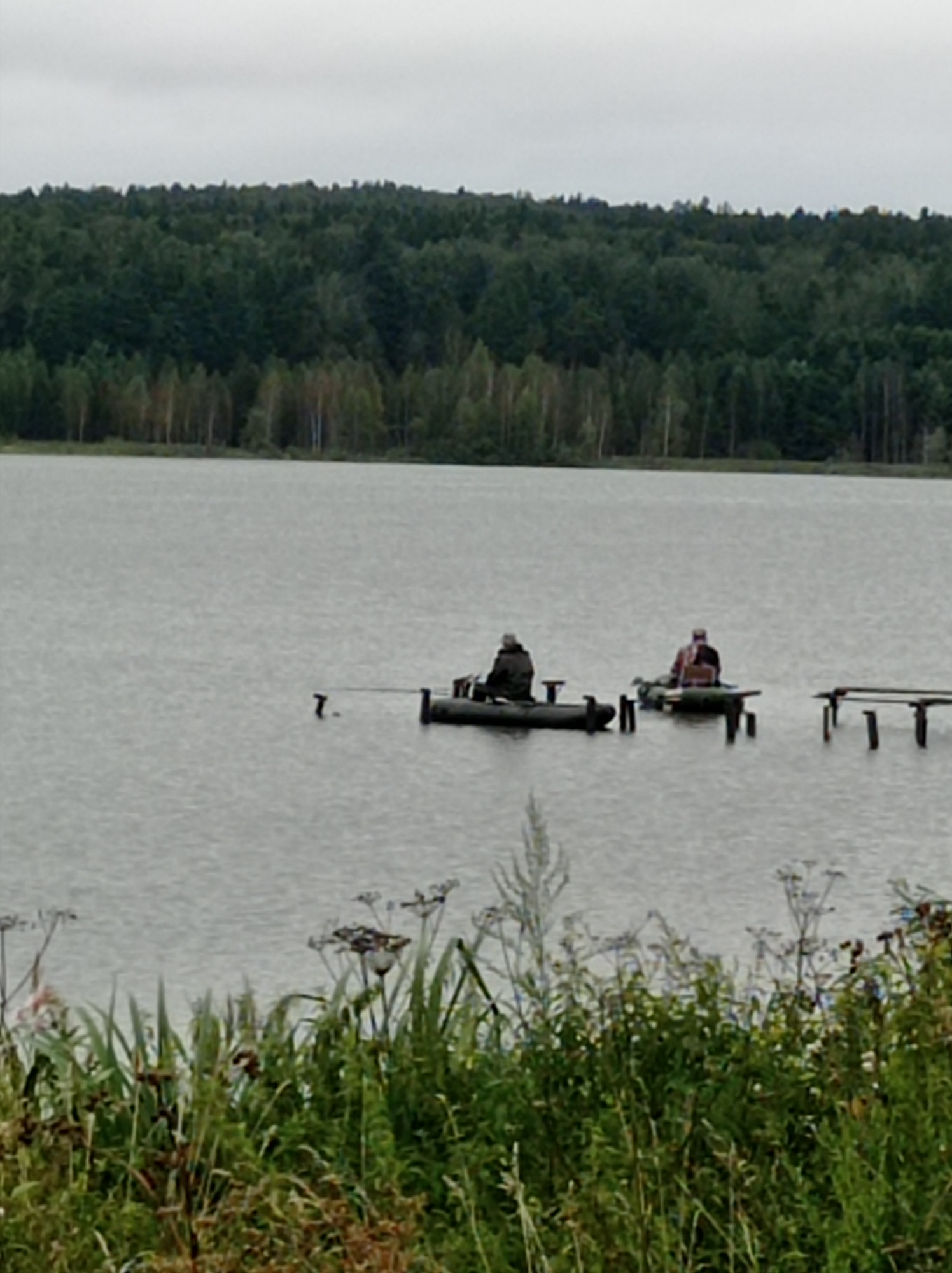 The image depicts a serene outdoor scene with two individuals fishing from small boats on a calm body of water. A dense forest forms the backdrop, with the trees extending to the horizon under an overcast sky, suggesting a cloudy or possibly rainy day. The foreground is lush with various types of greenery, including tall grasses and wildflowers, implying a natural, untamed environment.
In the middle ground, two individuals are seated in what appear to be inflatable or small rowboats. They are positioned on the water, engaged in the activity of fishing. One boat is closer to the left of the frame, and the other is slightly to its right and further back. They are both dressed in casual outdoor clothing. One boat has a fishing rod extending from it.
There are also structures visible in the water, possibly remnants of a dock or platforms, with wooden posts sticking out of the water. These structures are located between the boats and to the right of the boats. The water itself appears calm, with subtle ripples indicating minimal wind. The overall mood of the image is peaceful and contemplative, capturing a moment of quiet recreation in nature. The time of day is indeterminate due to the overcast conditions, but it appears to be daytime. No text is visible in the image. The location is identified as Degtyarsk, Russia.