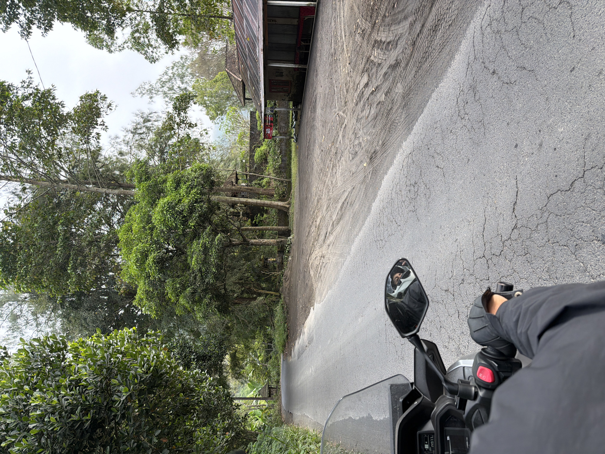 The image depicts a first-person view from a motorcycle traveling on a paved road in Kintamani, Indonesia. The road is cracked and shows signs of tire tracks from other vehicles. Lush green trees line the left side of the road, creating a canopy. In the distance, a small building with a red-tiled roof and open-air seating is visible on the right side of the road. A red and white sign is posted near the building. The sky is overcast, suggesting a cloudy day. The rider's hands are on the handlebars, and their reflection is visible in the motorcycle's side mirror, showing them wearing a helmet. The overall scene conveys a sense of travel through a tropical, rural environment.