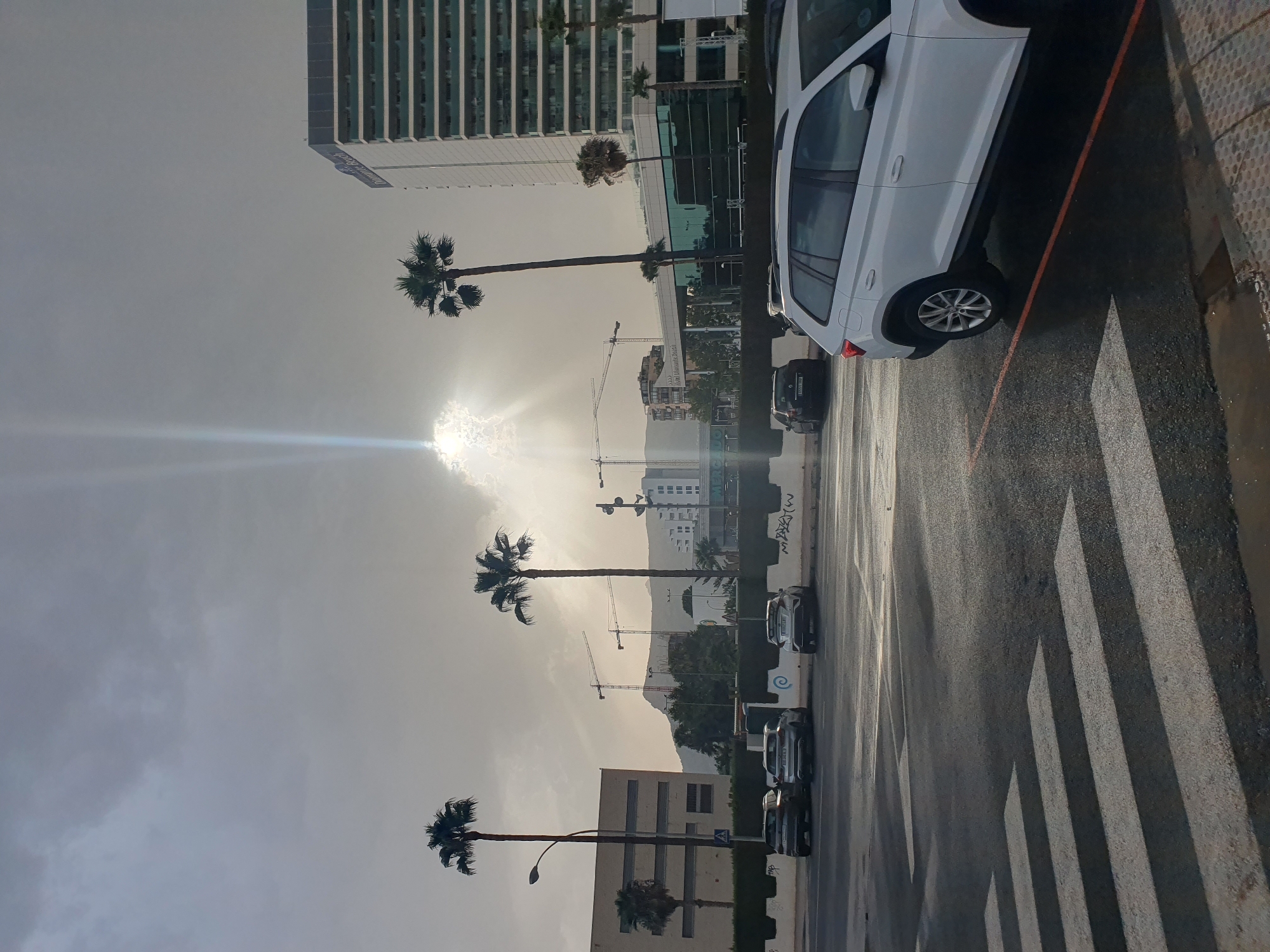 The image depicts a street scene in Calp, Spain, under a dramatic sky with sunbeams piercing through clouds. In the foreground, a white SUV is parked on the right side of the frame, partially obscuring a pedestrian crossing marked with white stripes on the wet asphalt. Behind the SUV, several cars are parked in a line along a low white wall. Towering palm trees are scattered throughout the scene, with taller specimens on the left and right. In the background, there are several buildings, including a modern high-rise with a sign that appears to read "Hotel Diamante Beach" and other structures with visible cranes, suggesting ongoing construction or development. The overall impression is of an urban environment with a touch of natural elements, set against a dynamic weather backdrop.