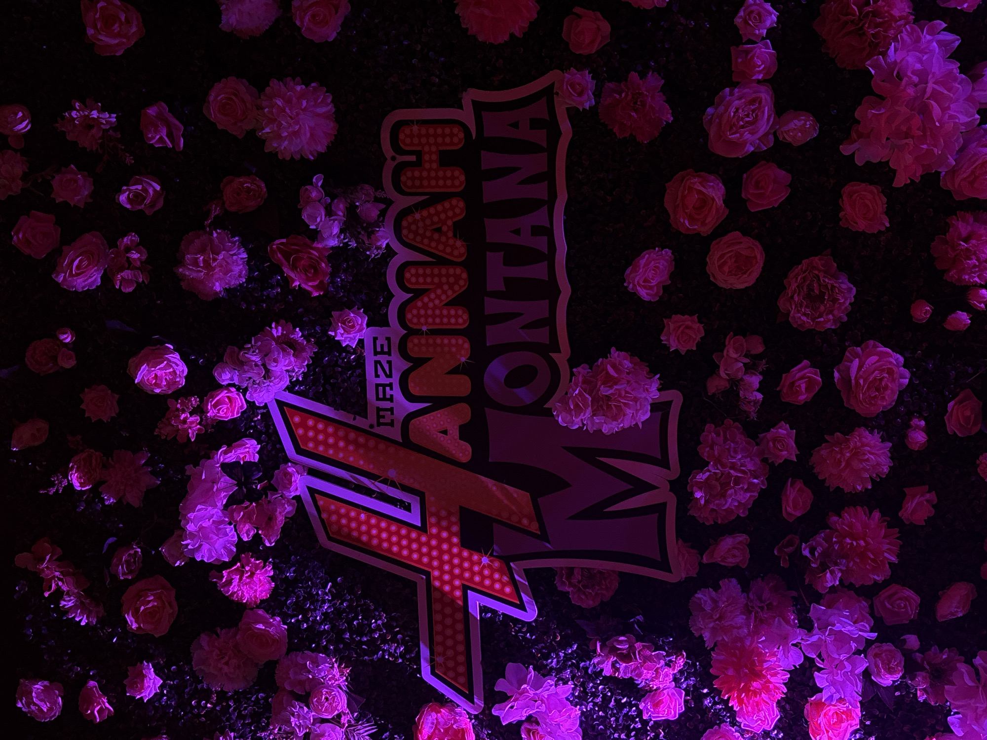 The image presents an illuminated decorative wall or backdrop, likely from an event in Varna, Bulgaria. The scene is dark, suggesting nighttime or a dimly lit indoor environment, with strong artificial lighting in pink and purple hues illuminating the subjects.
The main subjects are a large, elaborate sign and numerous artificial flowers. The background consists of a dark surface, possibly a leafy wall or hedge, densely covered with a variety of artificial flowers, including roses, chrysanthemums, and hydrangeas, all in shades of vibrant pink and purple. The lighting enhances the colors, making them glow.
Prominently featured in the center is a large, retro-styled sign with internal illumination, reminiscent of a classic marquee. The sign displays the text "HANNAH MONTANA" in bold, capital letters, with "HANNAH" stacked above "MONTANA." The letters are outlined in white and filled with a reddish-orange color, featuring numerous small, circular illuminated dots that create a sparkling effect. To the left of the "HANNAH" section, oriented vertically, is the word "MAZE." Below "HANNAH MONTANA" and integrated into the overall logo is a large, stylized letter "F" (or similar character) that matches the illuminated, dotted design of the main text.
The arrangement suggests a themed event, celebration, or entertainment venue, possibly a "Hannah Montana Maze" experience. The combination of dark surroundings, bright pink and purple flowers, and the glowing, theatrical sign creates a festive and eye-catching atmosphere. No people are visible.