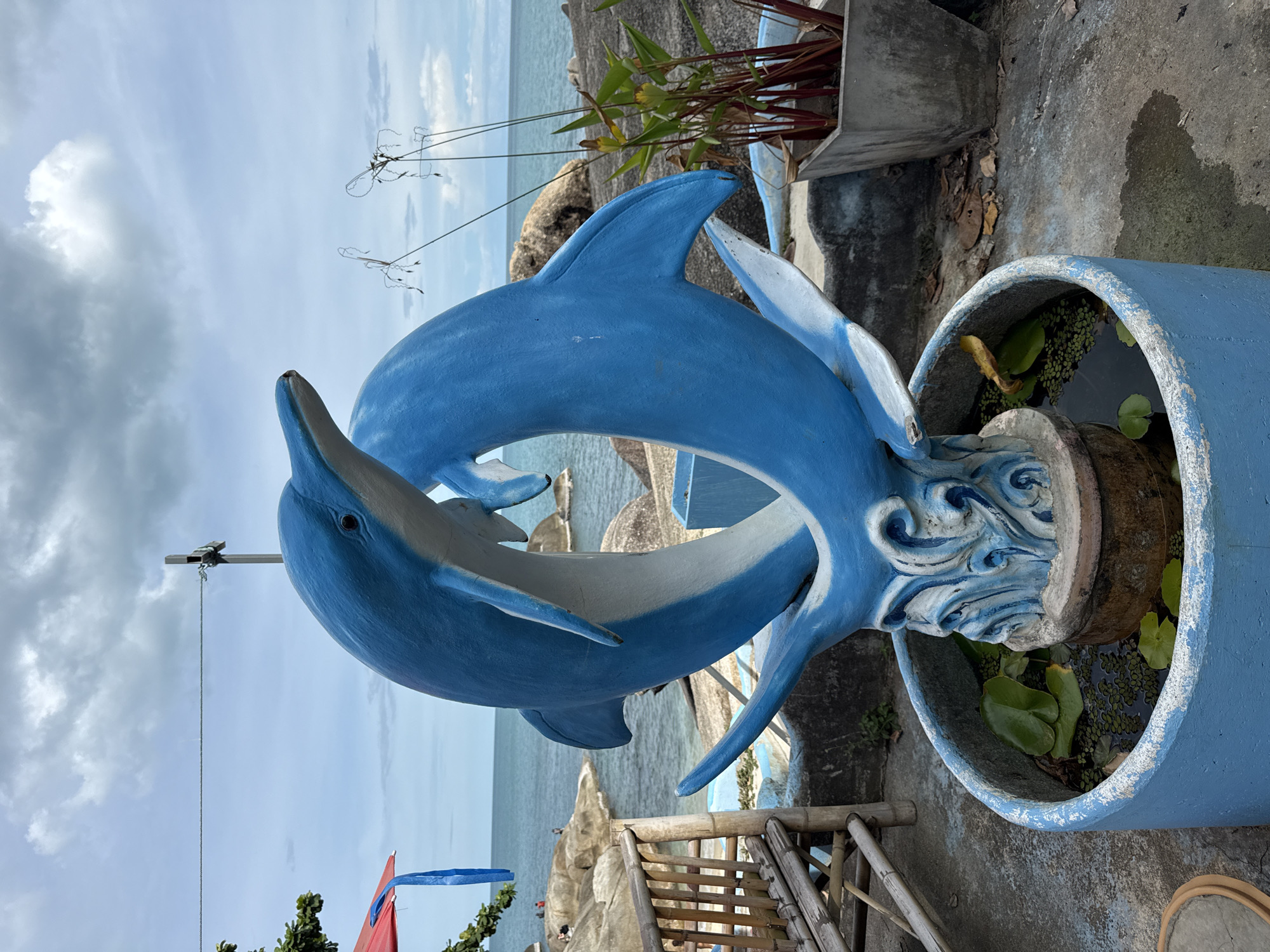 In Baan Hua Thanon, Thailand, a vibrant blue dolphin sculpture is the focal point of this outdoor scene. The sculpture depicts two dolphins gracefully intertwined, their bodies forming a fluid loop. The dolphins are mounted on a decorative base that mimics swirling water, painted in shades of blue and white. This base sits within a round, light blue concrete planter filled with dark water and dotted with lily pads and small green plants.
Behind the sculpture, the turquoise waters of the ocean stretch towards the horizon under a cloudy sky. Rocky outcrops, some with people visible in the distance, line the shore. To the left of the sculpture, a portion of a bamboo bench with a thatched seat is visible, and a red and blue umbrella can be seen further back. To the right, a grey concrete planter holds tall, thin plants with reddish stems and green leaves. The ground surrounding the planter is a weathered concrete surface, showing signs of age and dampness in places. The overall impression is a tropical, slightly rustic setting by the sea.