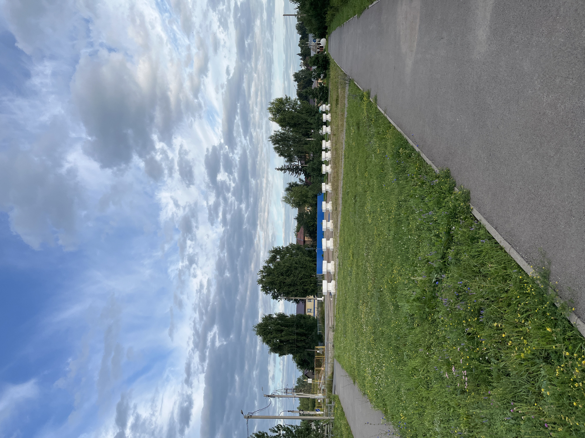 The image depicts an outdoor scene under a cloudy sky. In the foreground, a paved walkway curves to the right, bordered by a grassy area with wildflowers. Beyond the grass, a line of white, concrete objects resembling benches or barriers is visible. In the middle ground, there are several large, leafy trees and some residential buildings. In the background, more trees and houses are visible, along with utility poles and power lines. The overall impression is a semi-urban or suburban landscape.